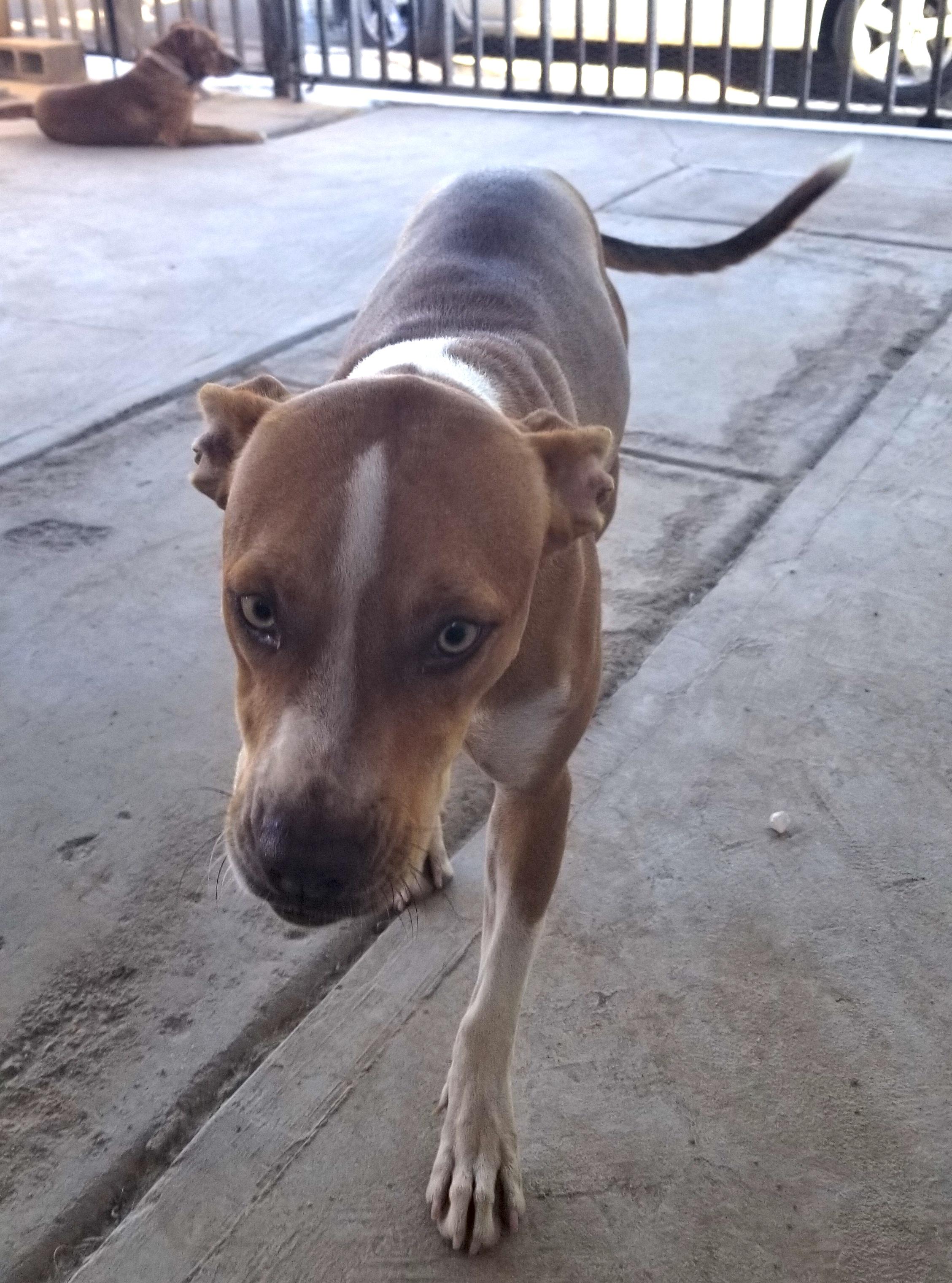 Meiling — thumbnail 4