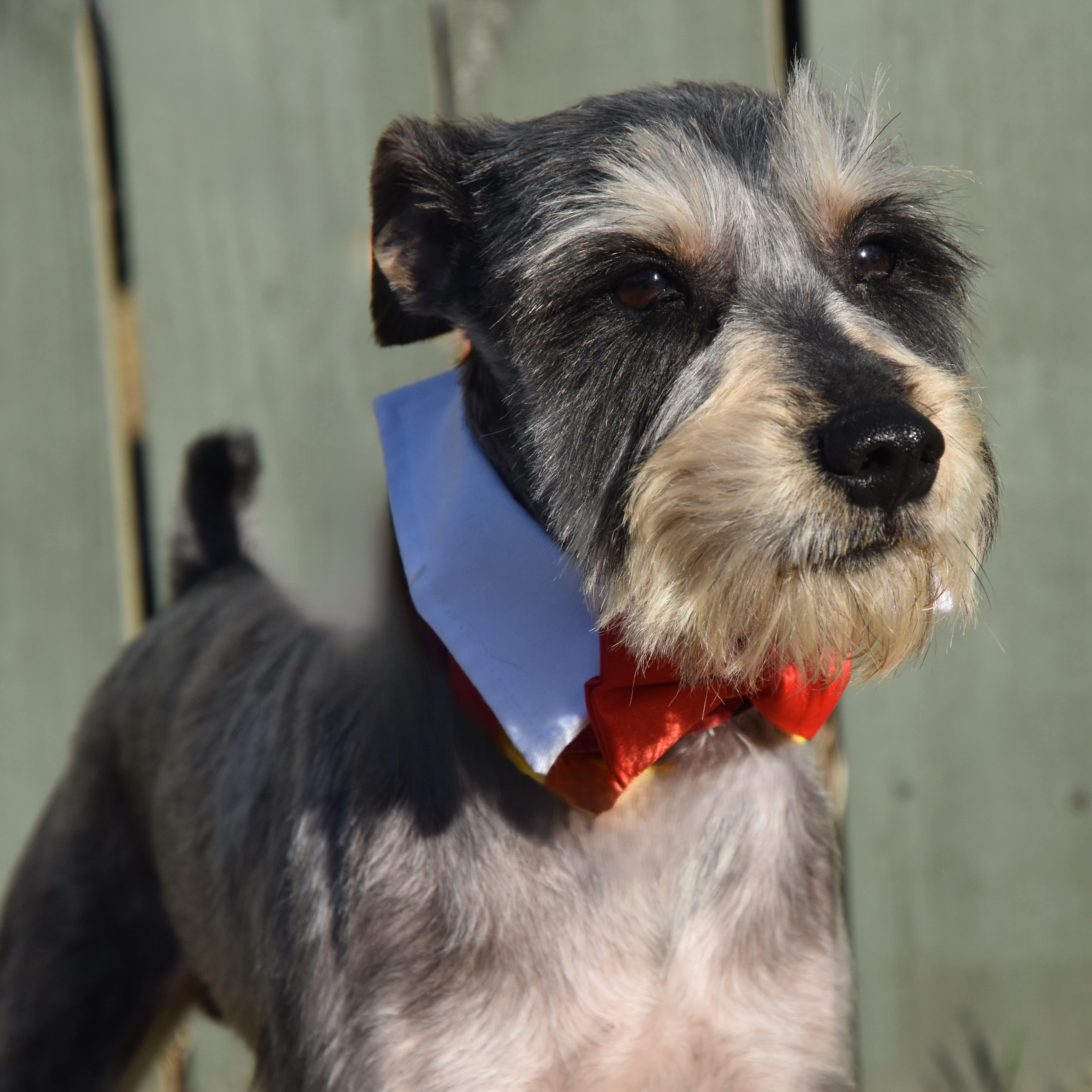 Limp Bizkit.  Lbs thumbnail 2