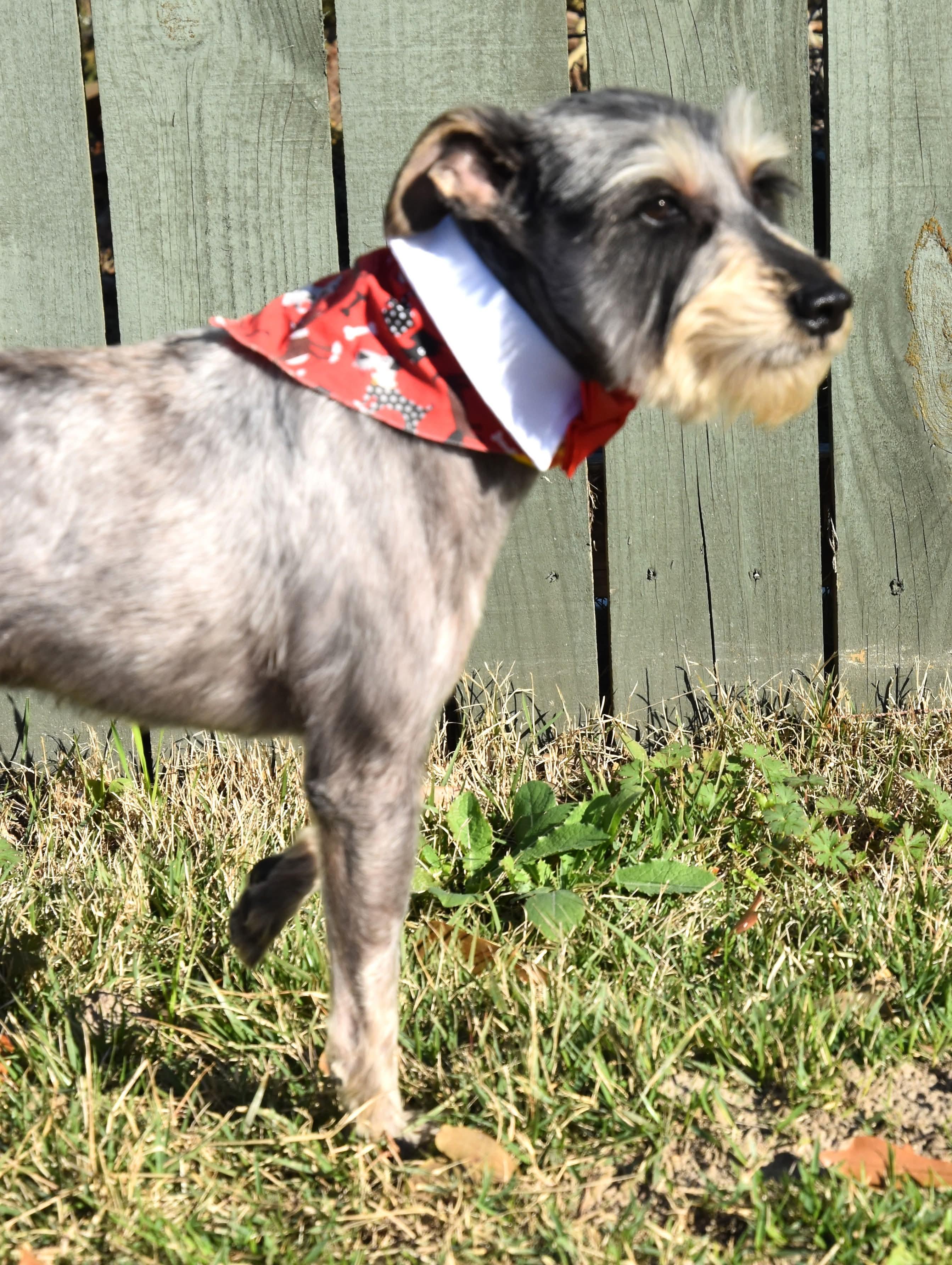 Limp Bizkit.  Lbs thumbnail 3