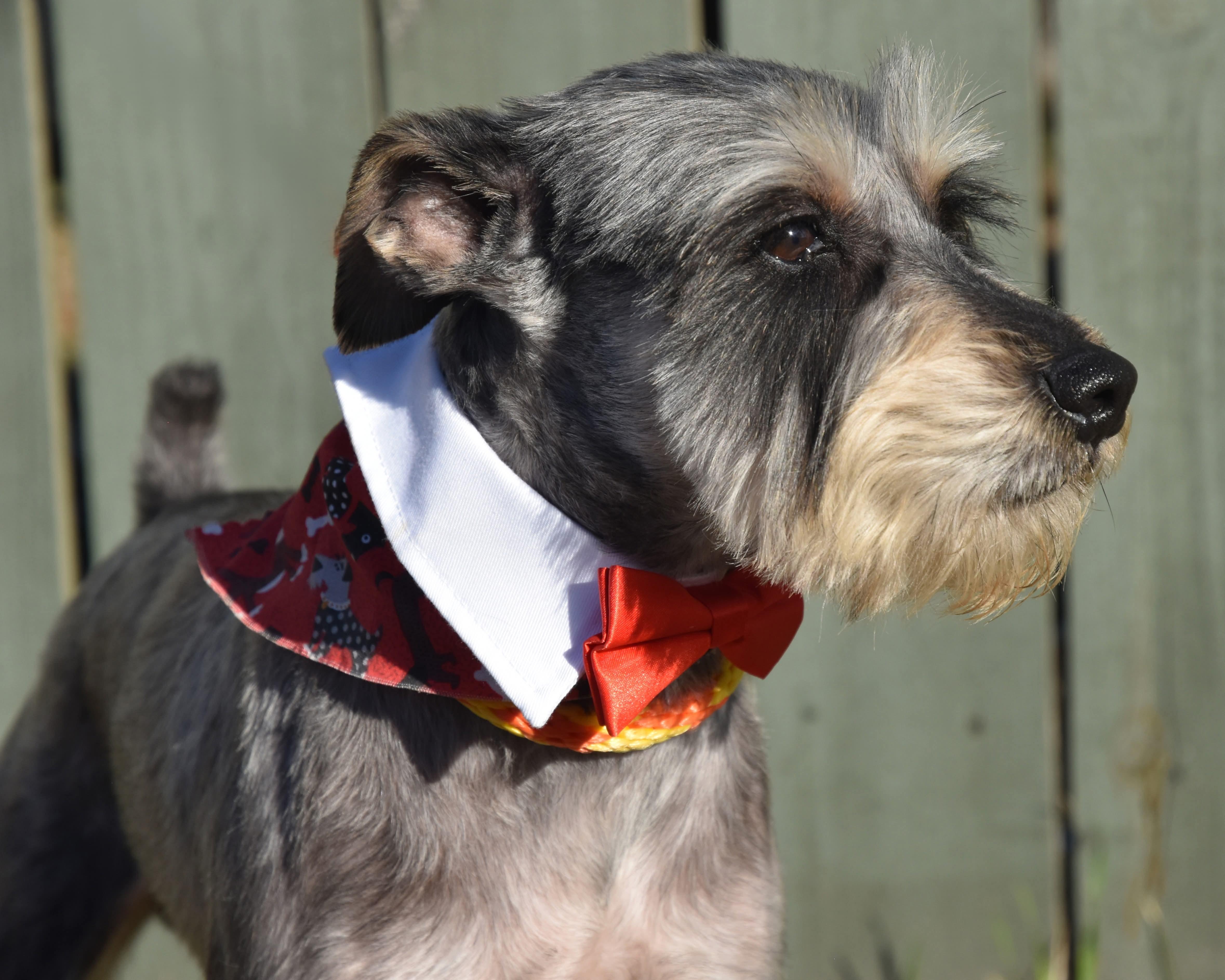 Limp Bizkit.  Lbs thumbnail 4