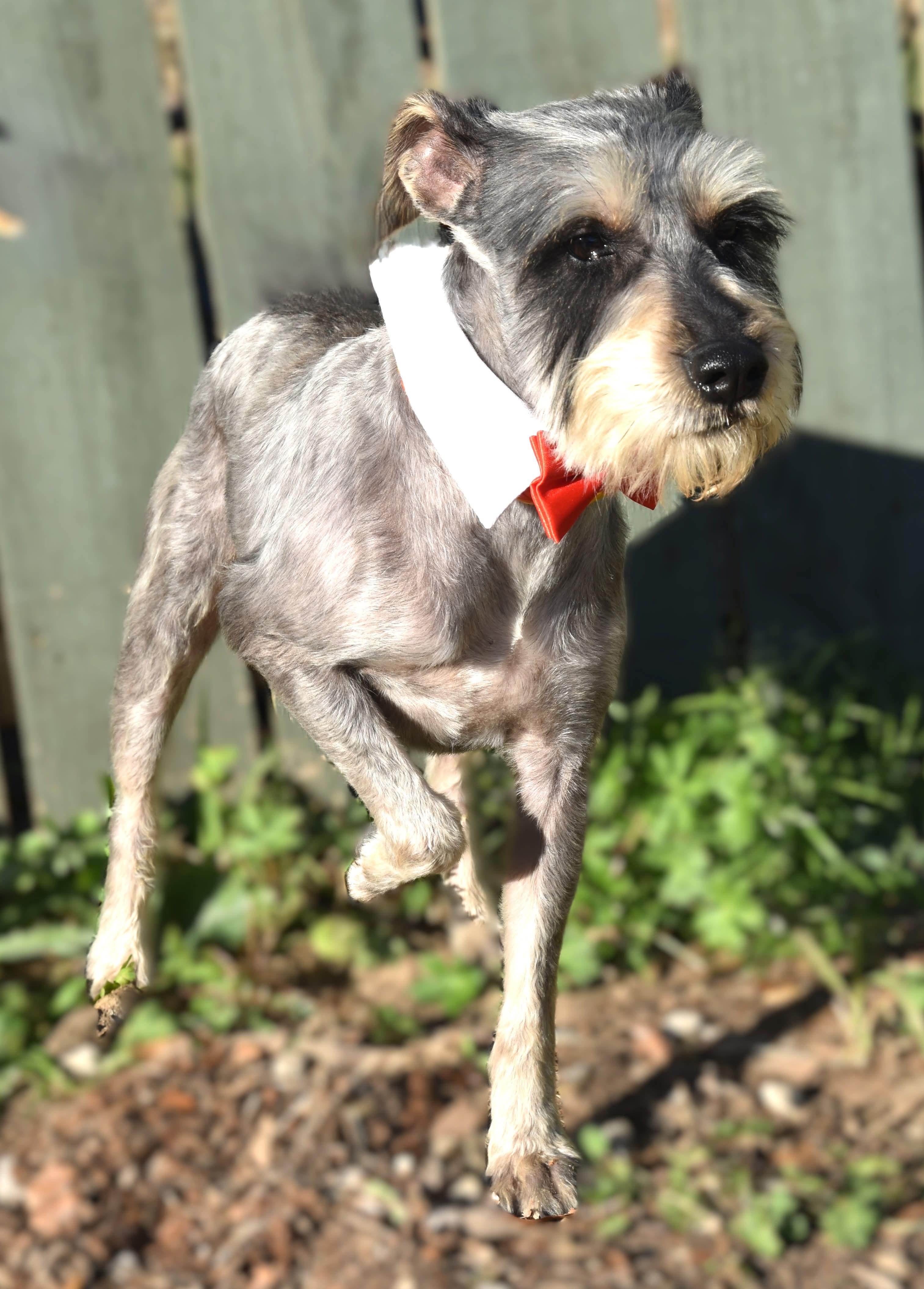 Limp Bizkit.  Lbs thumbnail 5