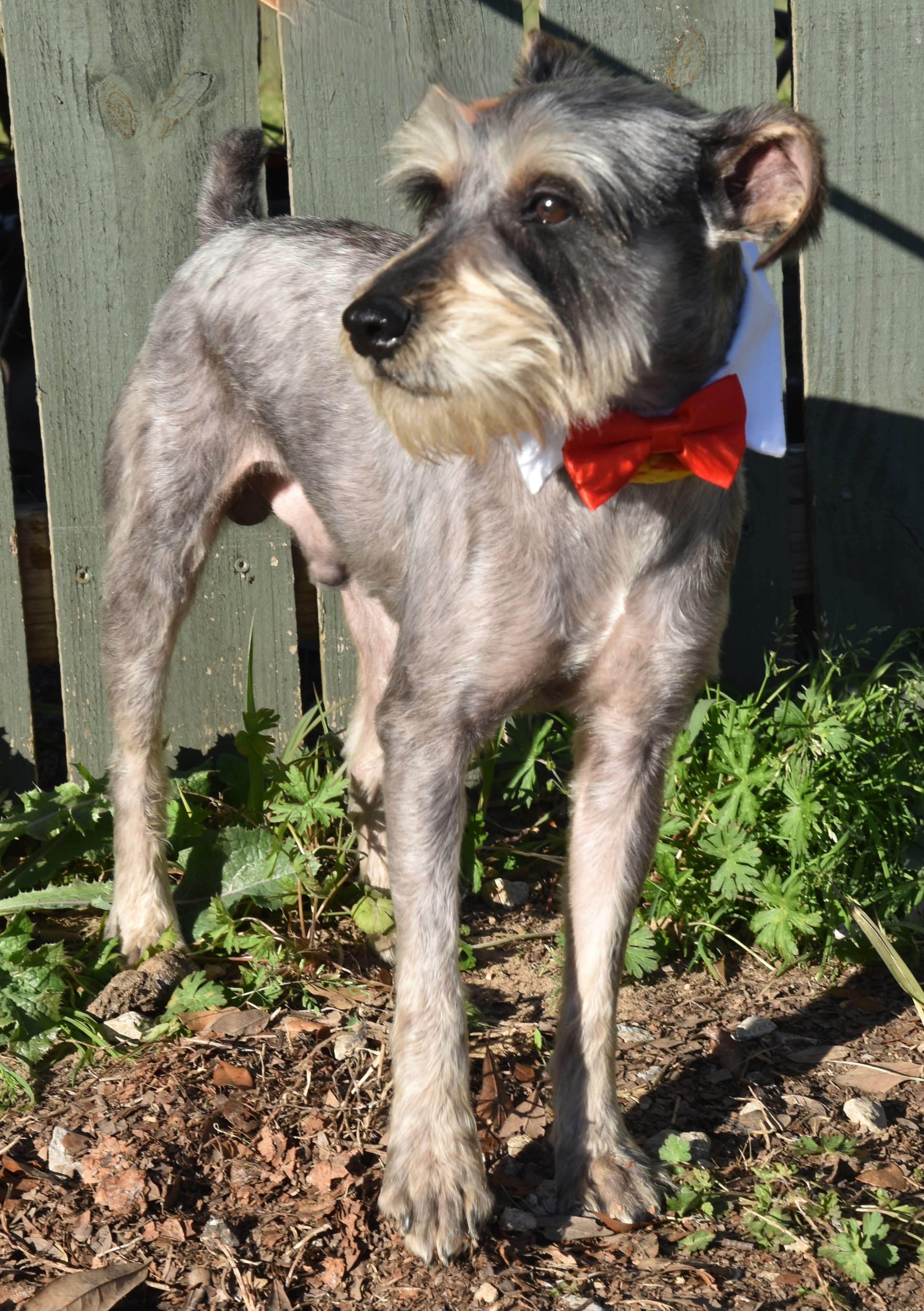 Limp Bizkit.  Lbs thumbnail 6