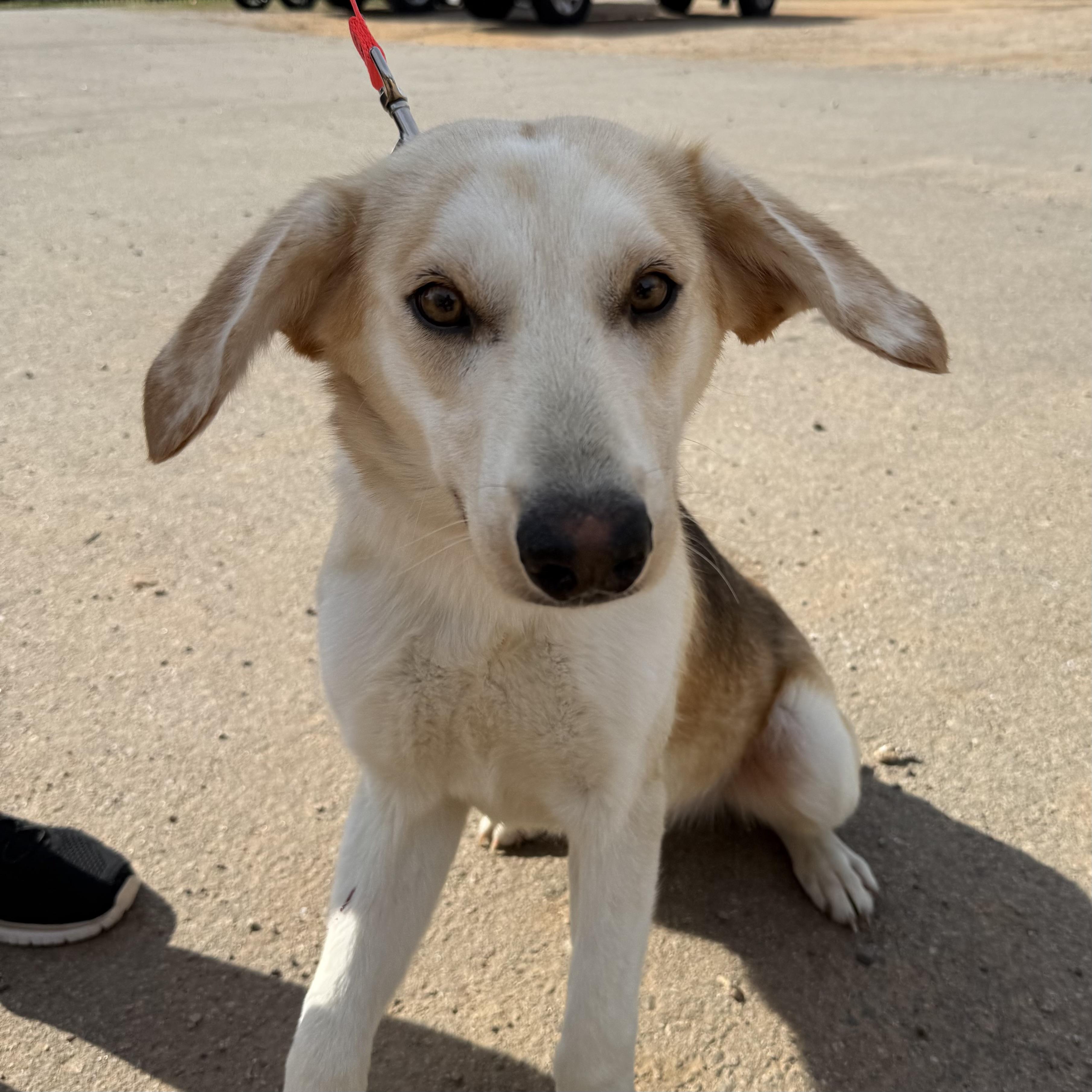 Marty — thumbnail 2