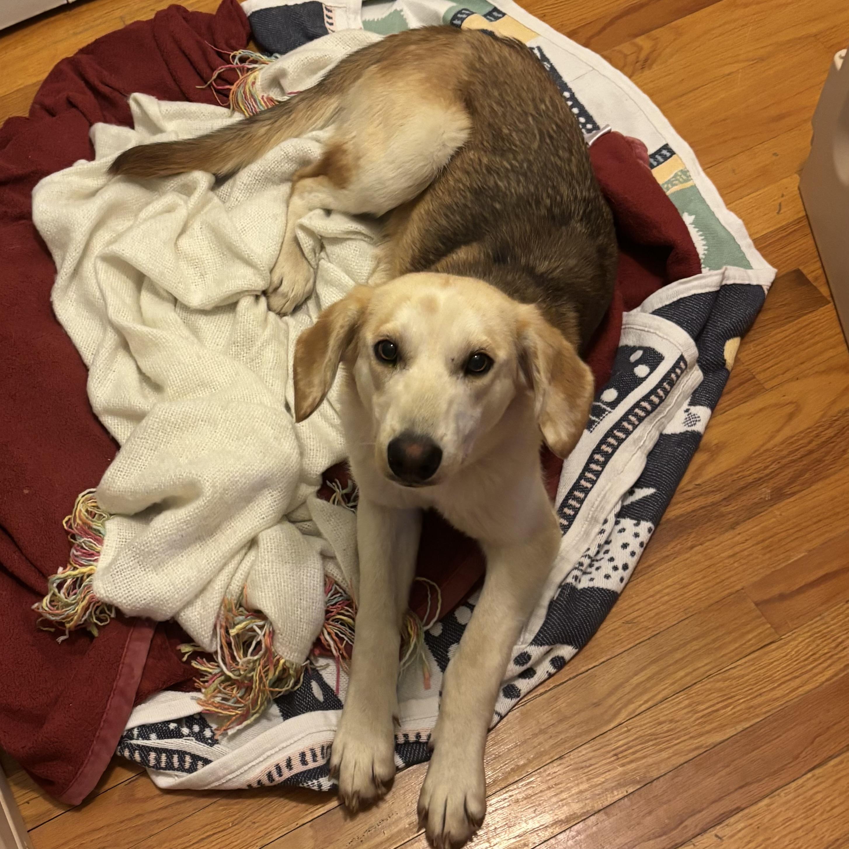 Marty — thumbnail 6