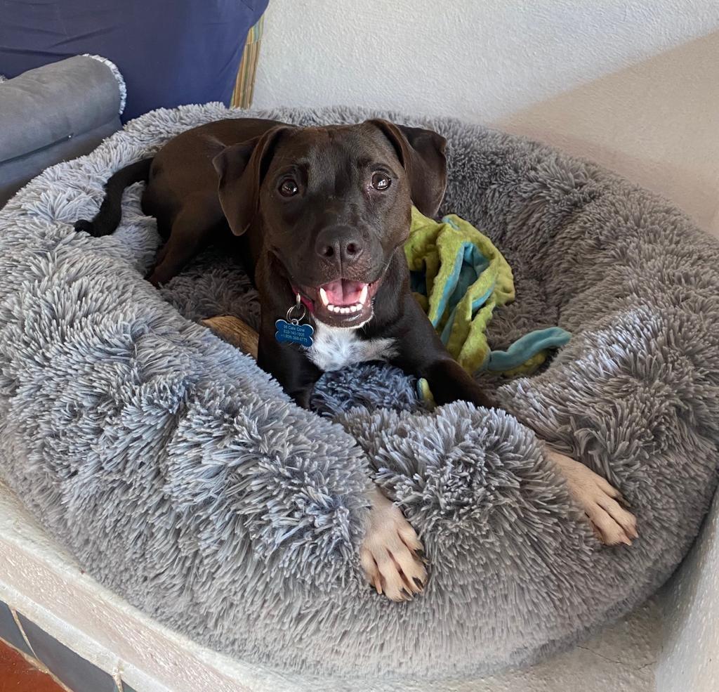 Summer — thumbnail 3