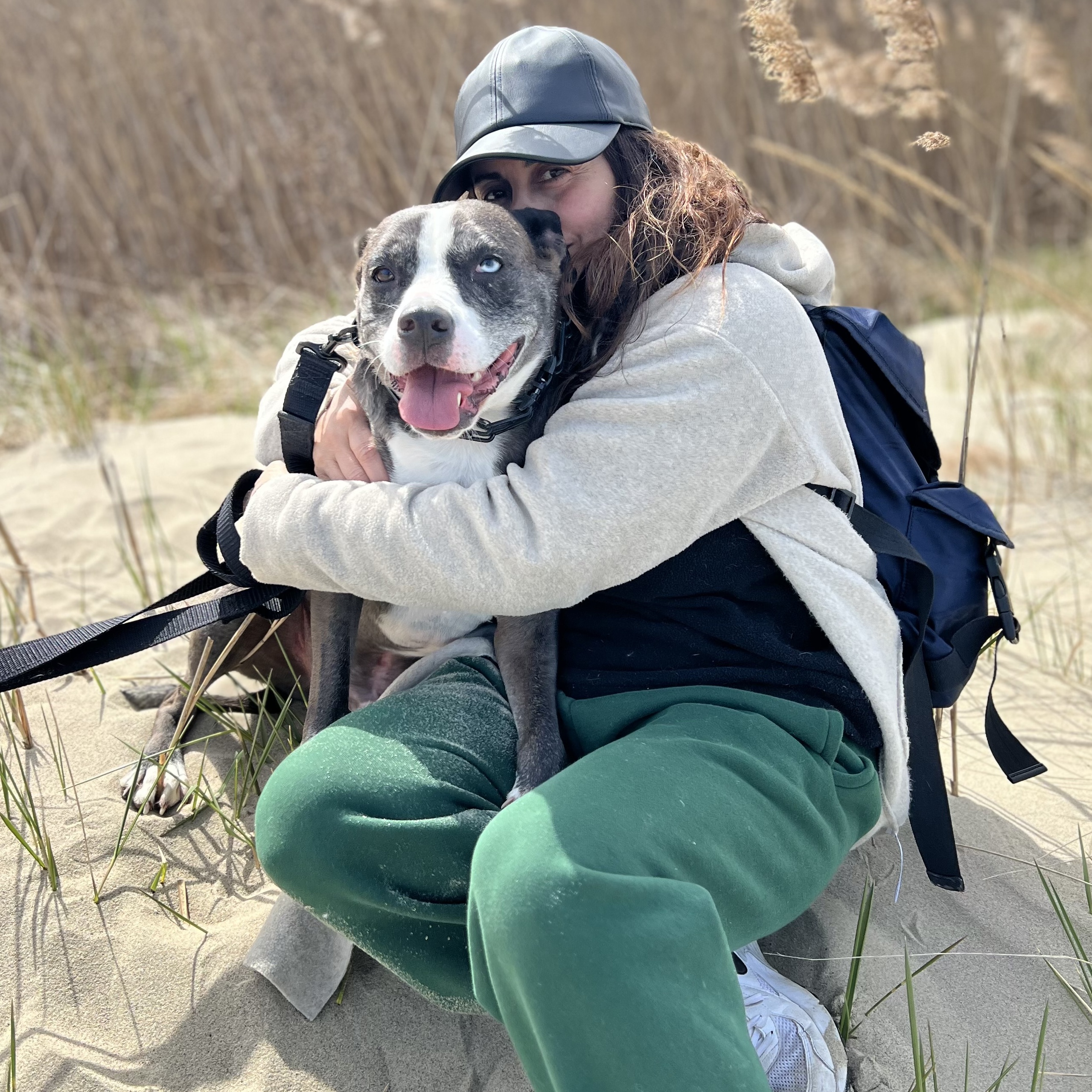 Ace, a Adoptable mixed breed in South Plainfield, NJ image 2/9