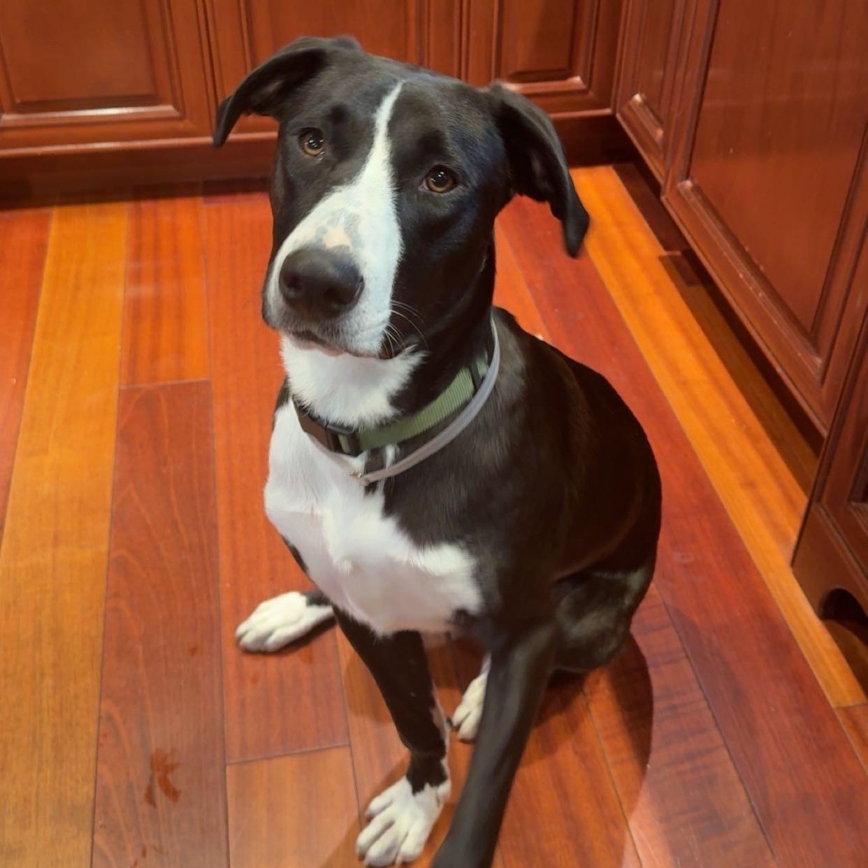 Buster