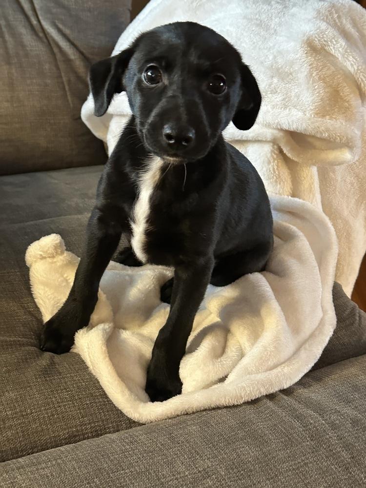 Theodore thumbnail 5