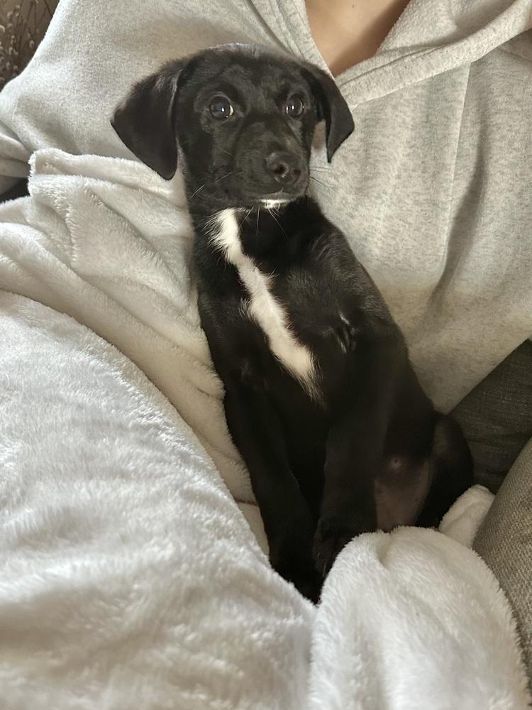 Theodore thumbnail 6