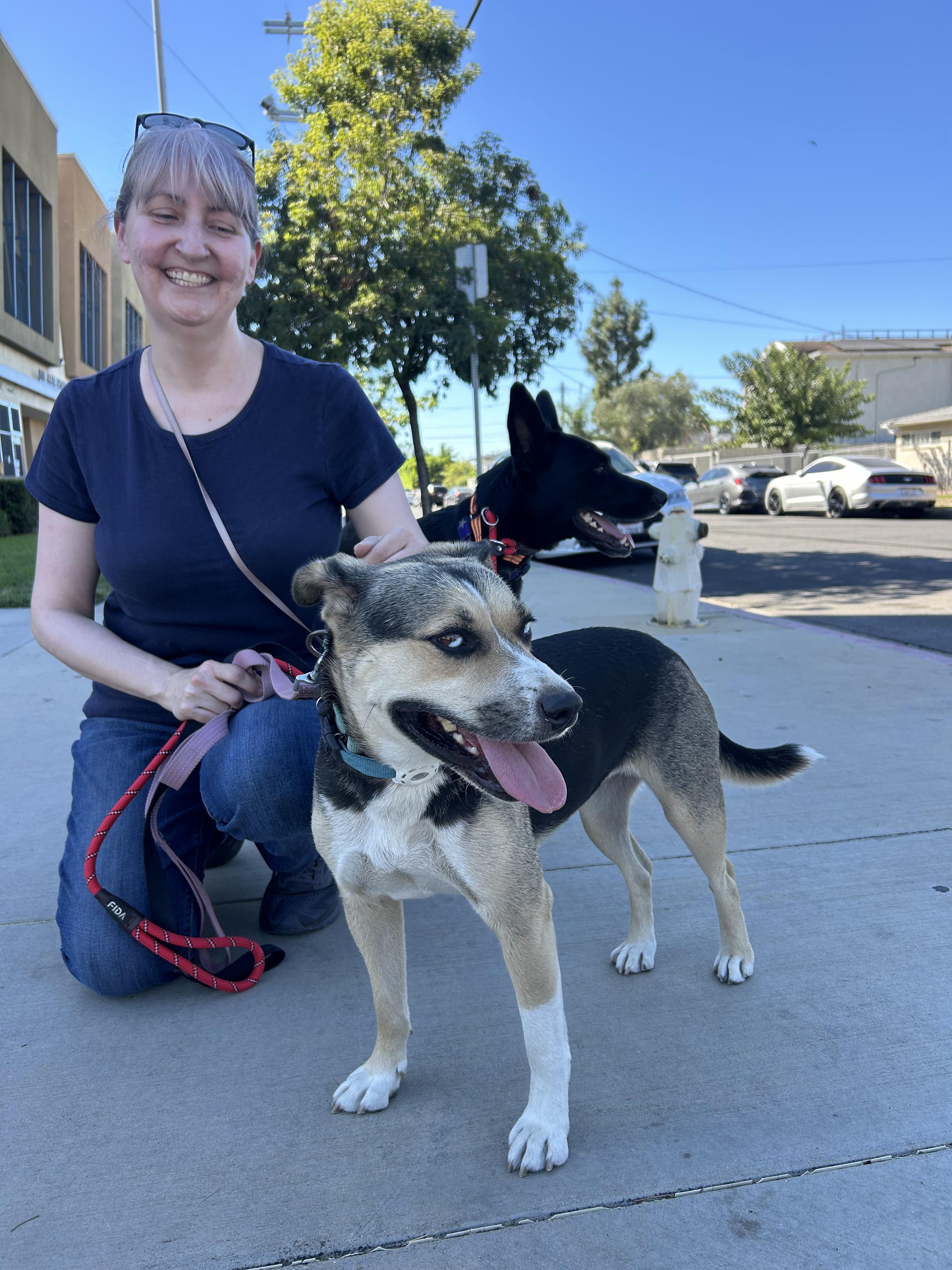 Enlarge Maggie, a Adoptable mixed breed in Burbank, CA image 2/6