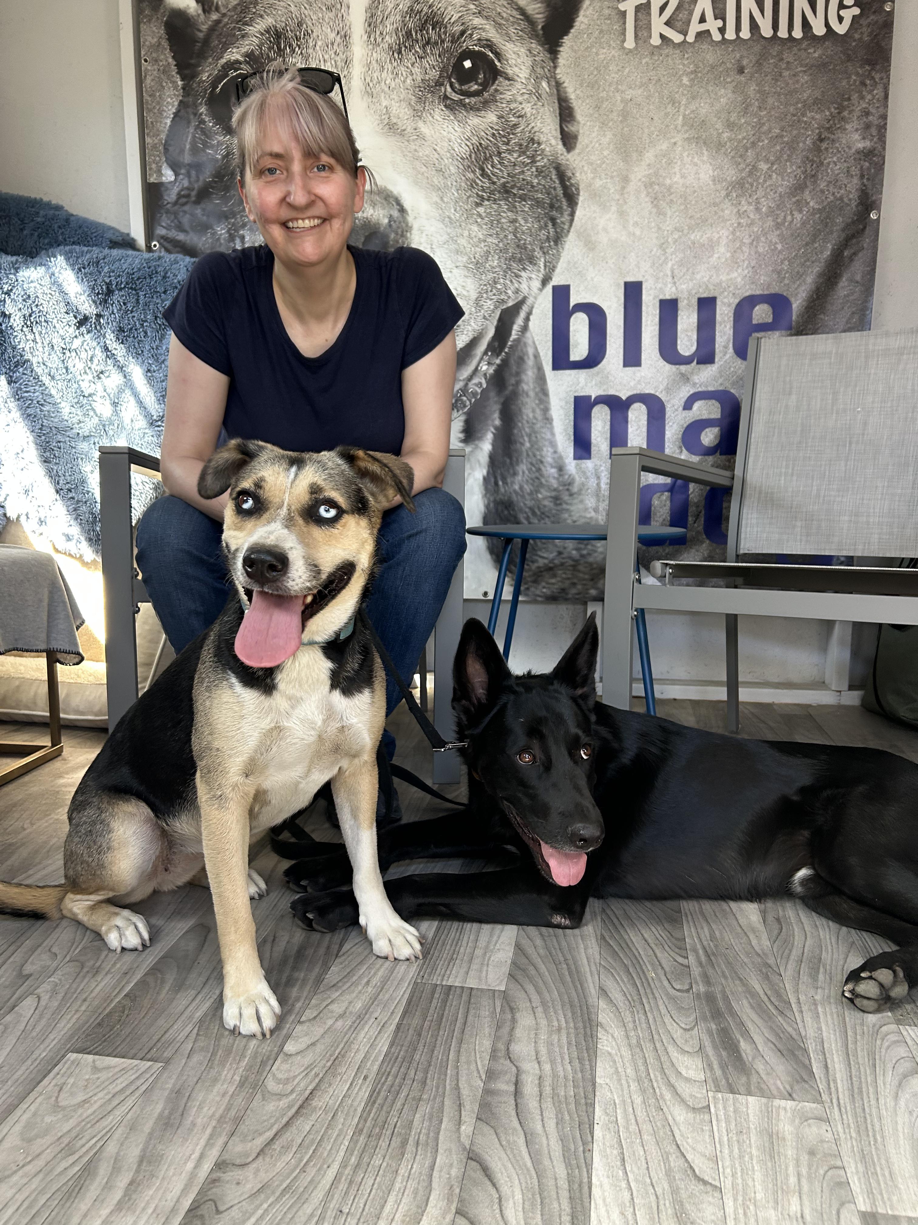 Enlarge Maggie, a Adoptable mixed breed in Burbank, CA image 3/6