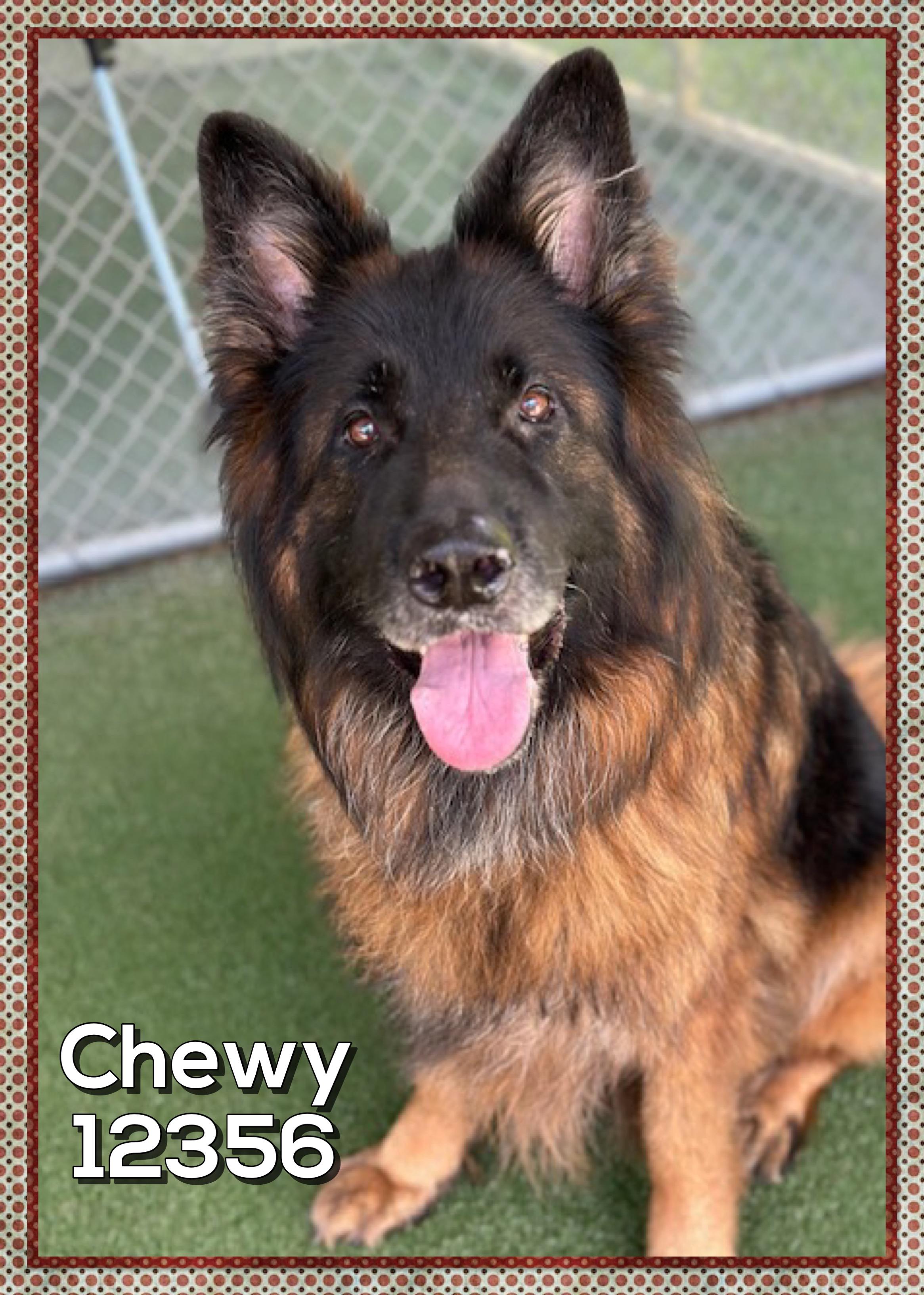 Chewy