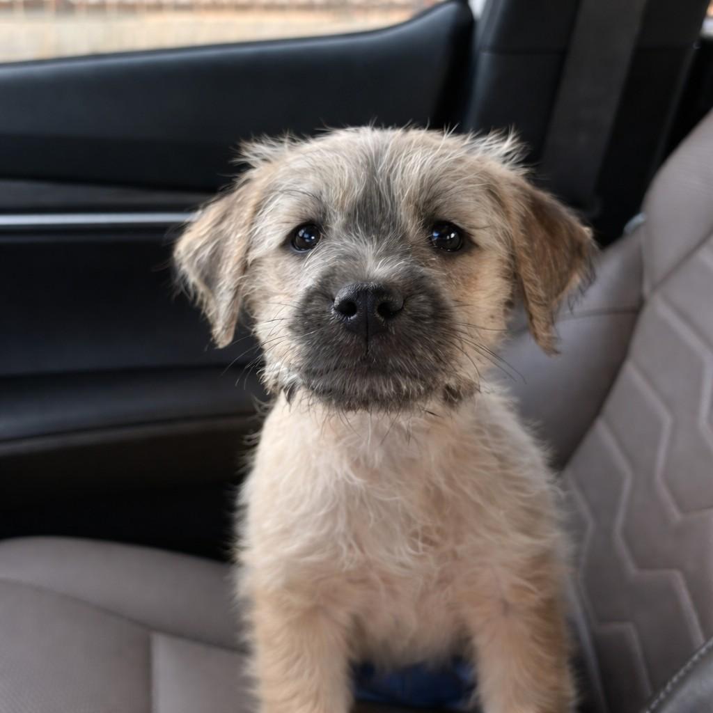 Gregory — thumbnail 5