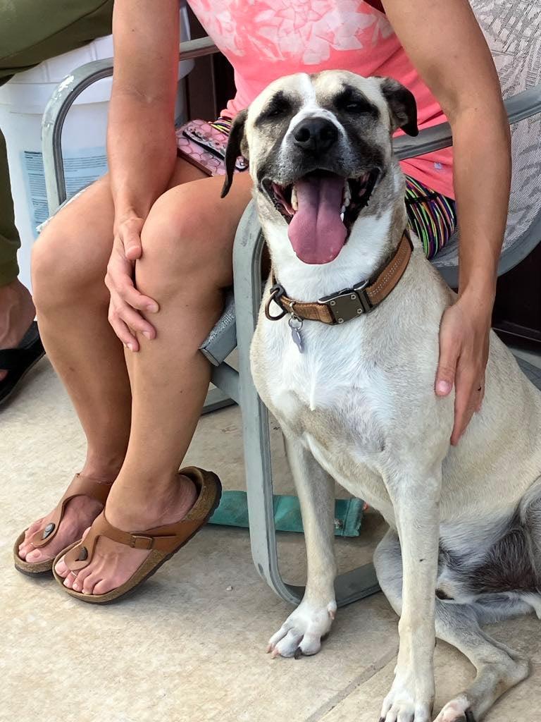 Nick — thumbnail 2