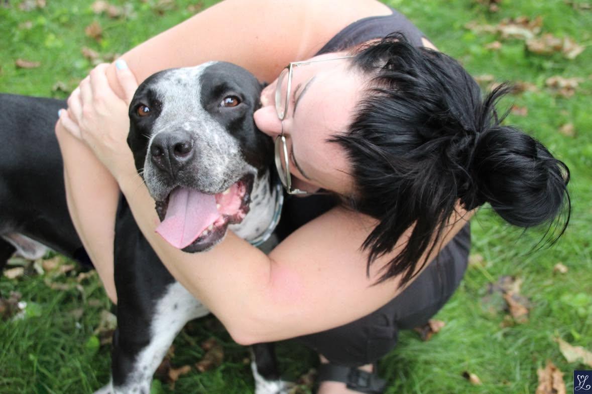 Enlarge Dunkin, a Adoptable mixed breed in Rochester, NY image 2/6