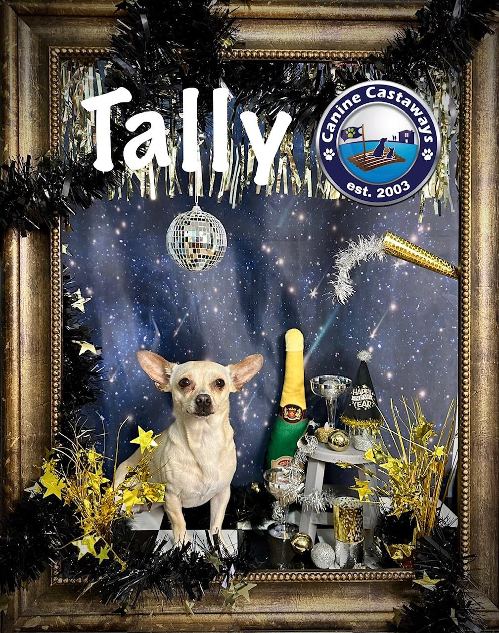 Enlarge Tally, a Adoptable mixed breed in Arcadia, FL image 3/6