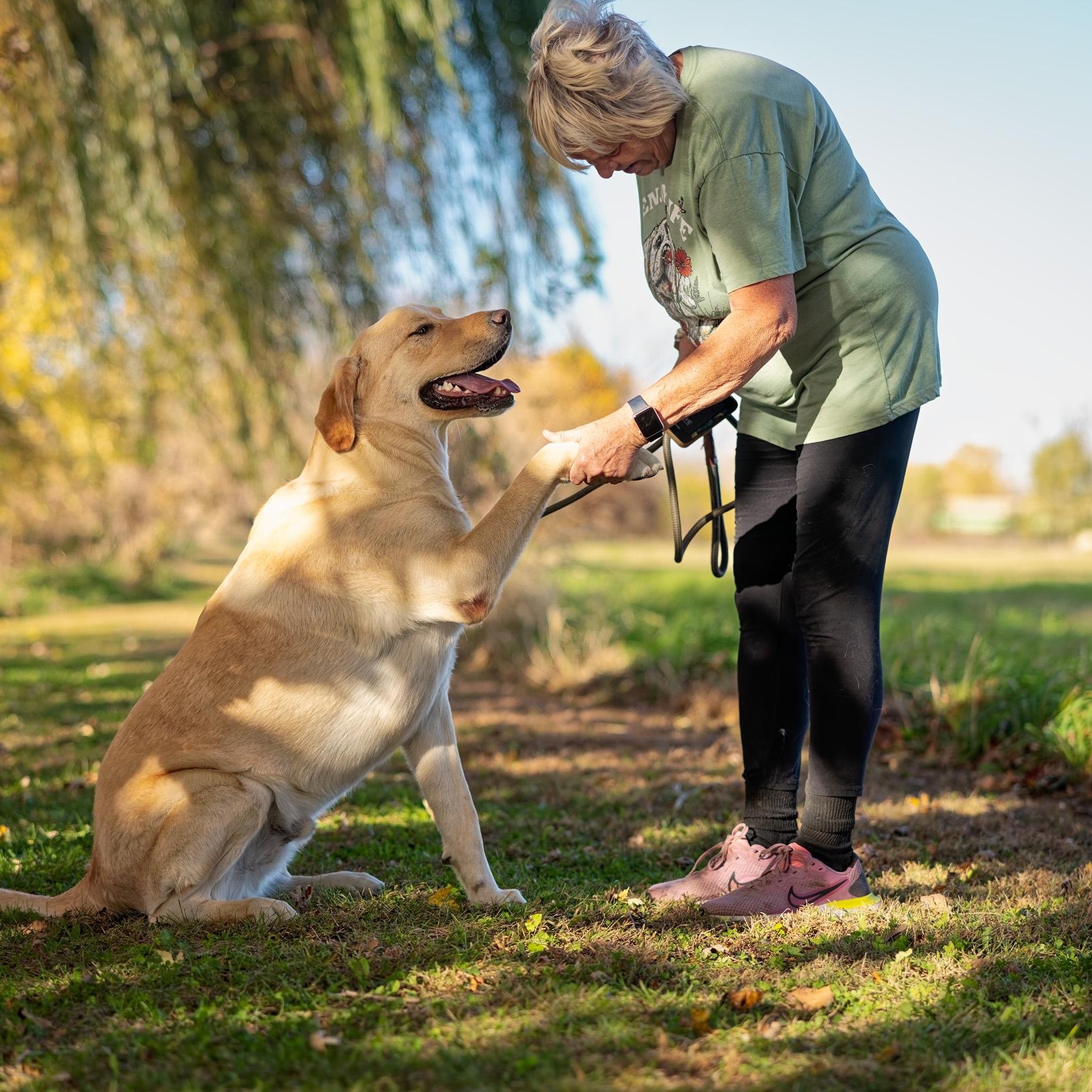 Air Bud (Bud), a Adoptable mixed breed in Clarinda, IA image 4/6