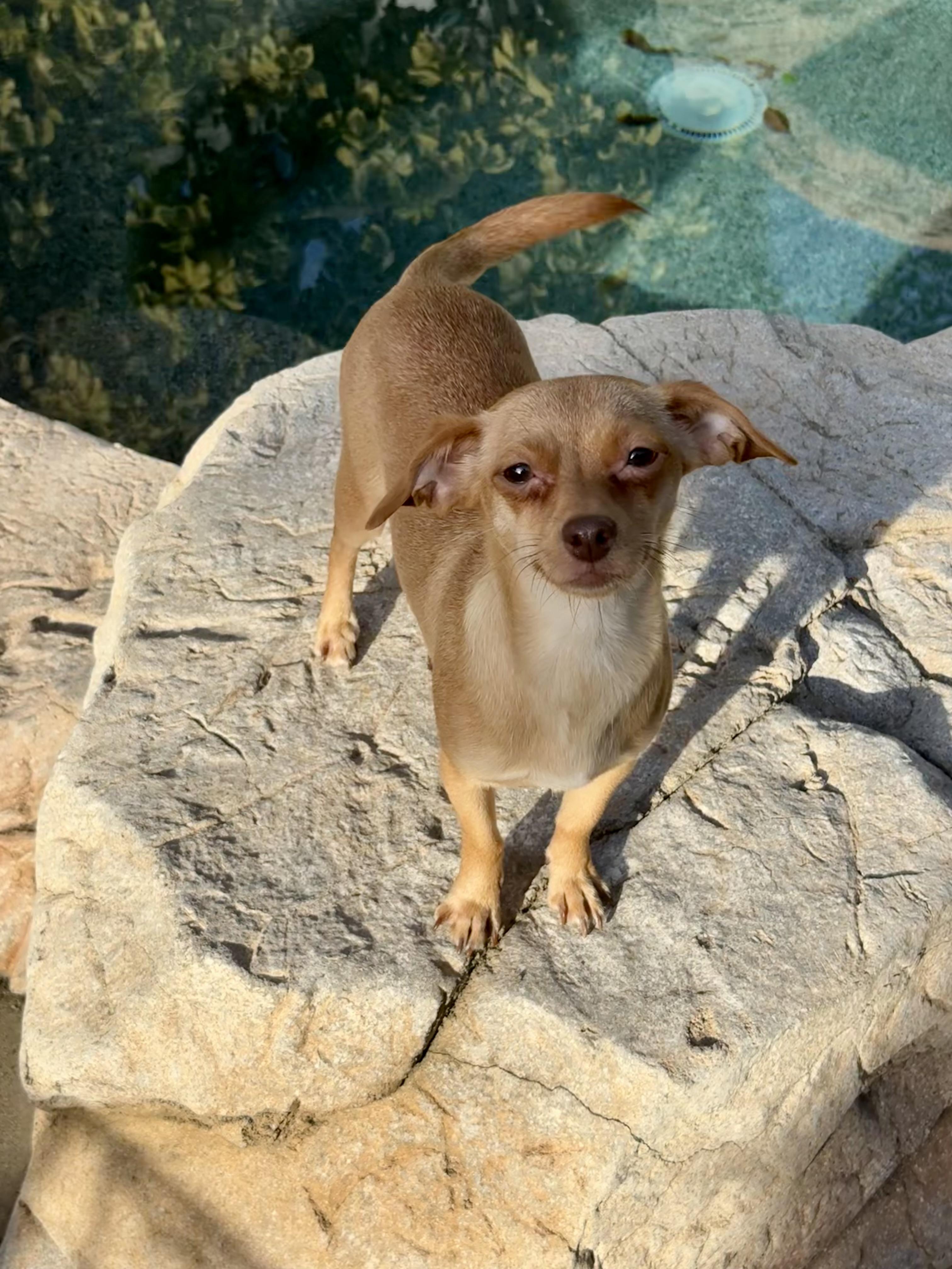 Summer — thumbnail 2