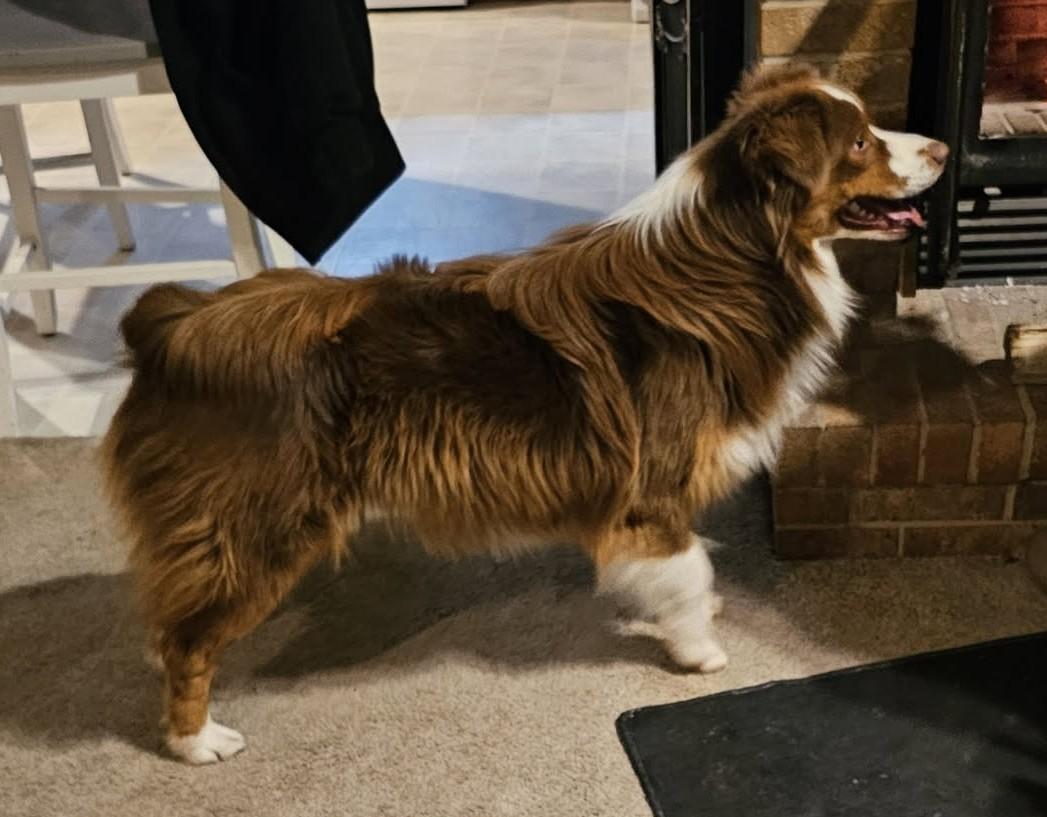 COURTESY POST - Valor - Chariton, IA - COURTESY POST