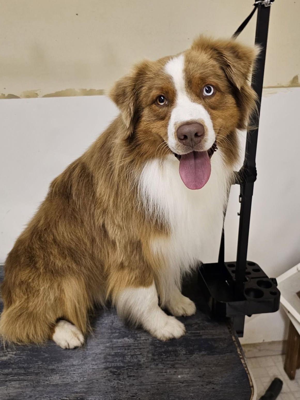 COURTESY POST - Valor - Chariton, IA - COURTESY POST