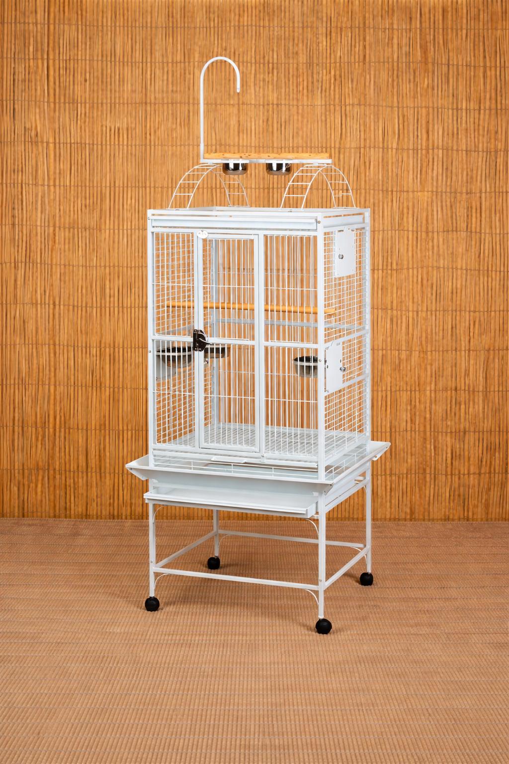 Mr. Peaches The Goffins Cockatoo Available For Adoption Soon, a ADOPTABLE Cockatoo in Vancouver, WA image 3/5