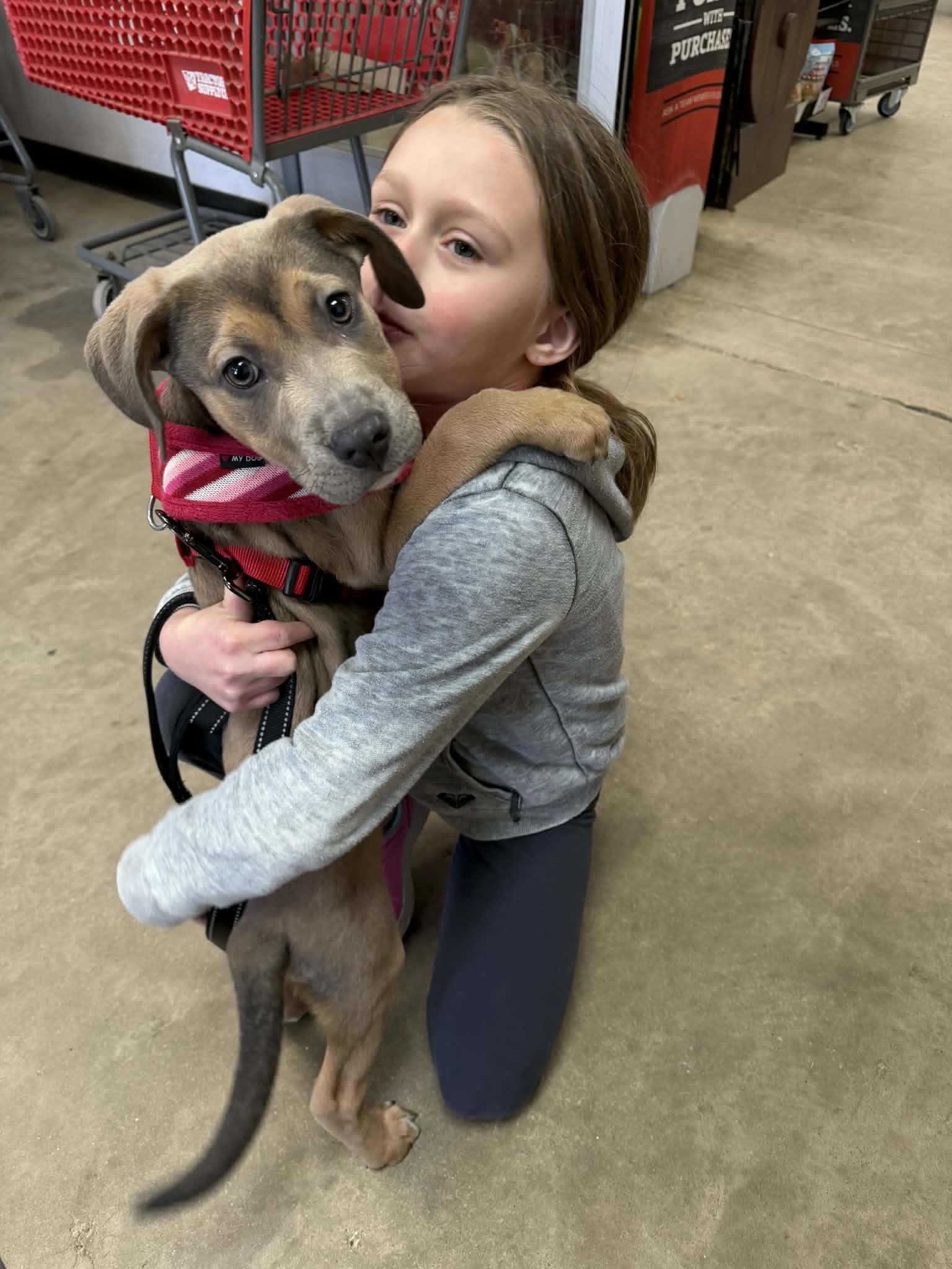 Enlarge Pearl, a ADOPTABLE mixed breed in Huntington, WV image 5/6