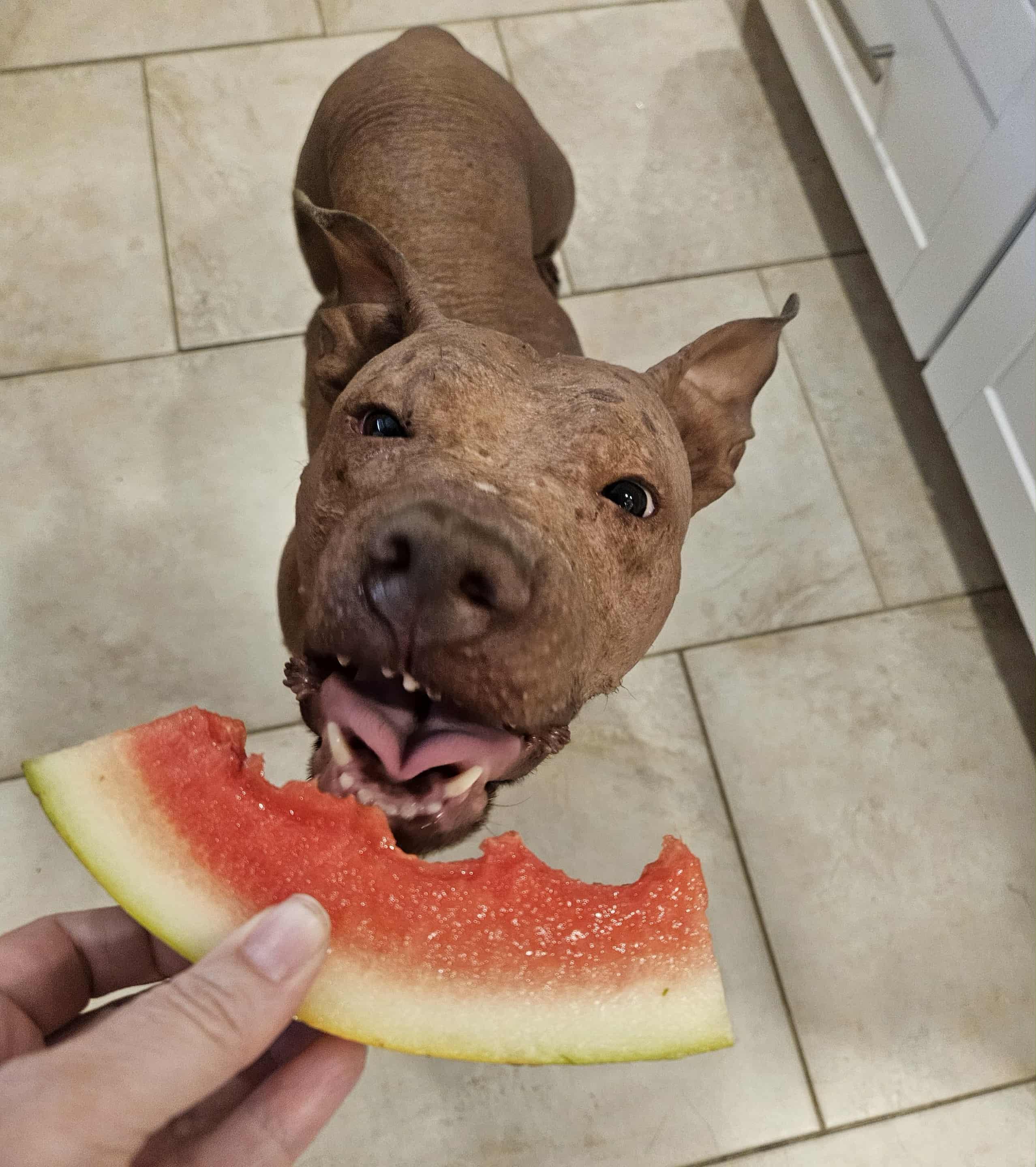 Hallie in NH! More info in Bio!