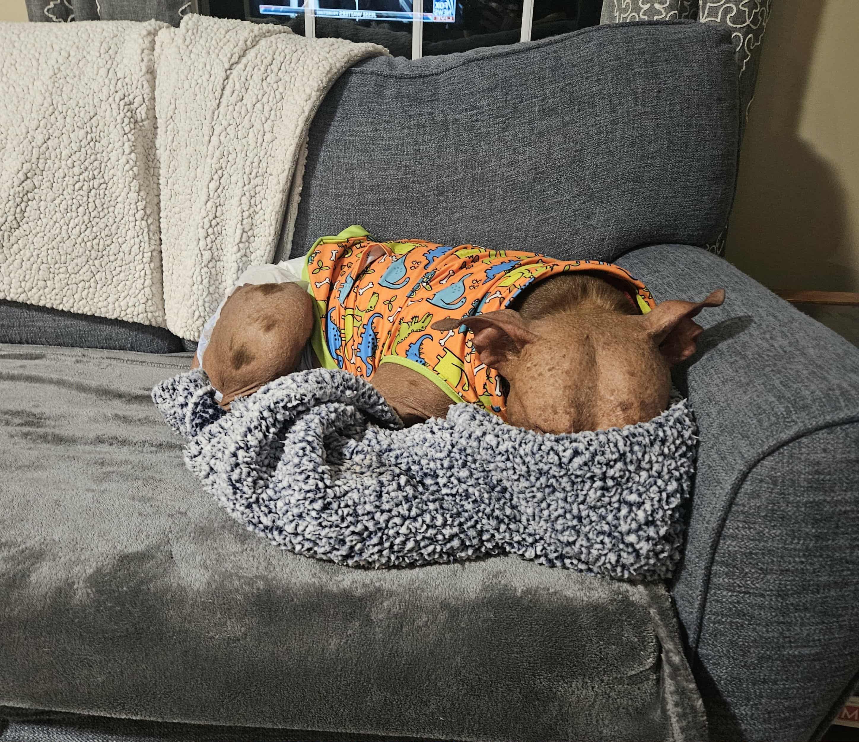 Hallie in NH! More info in Bio!