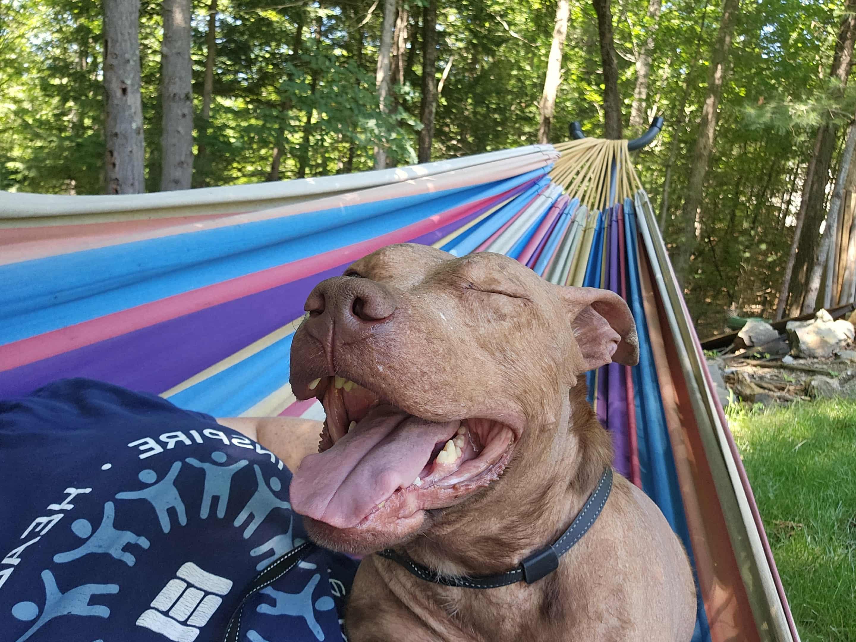 Hallie in NH! More info in Bio!