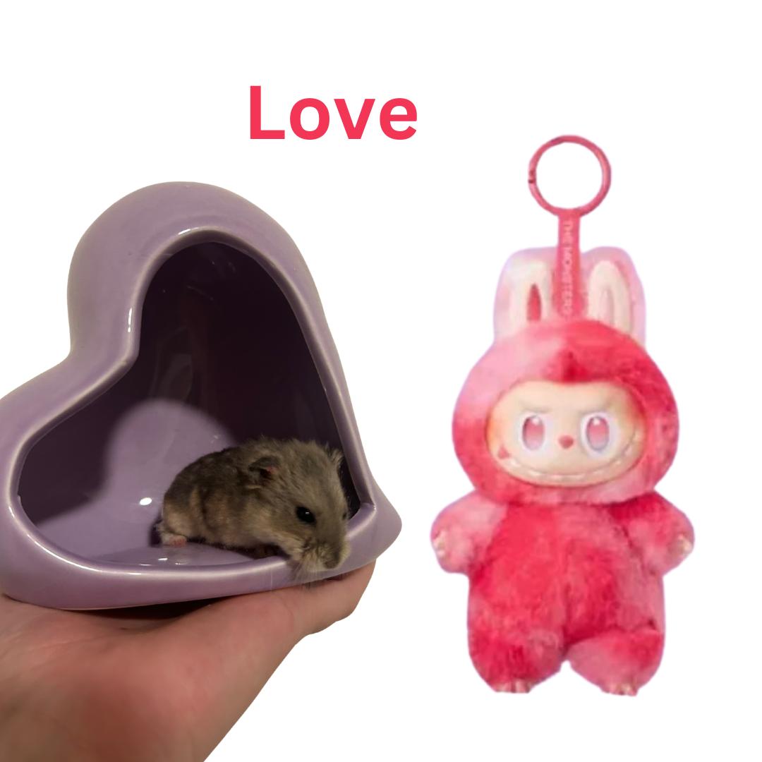 Enlarge Love, a Adoptable mixed breed image 1/1