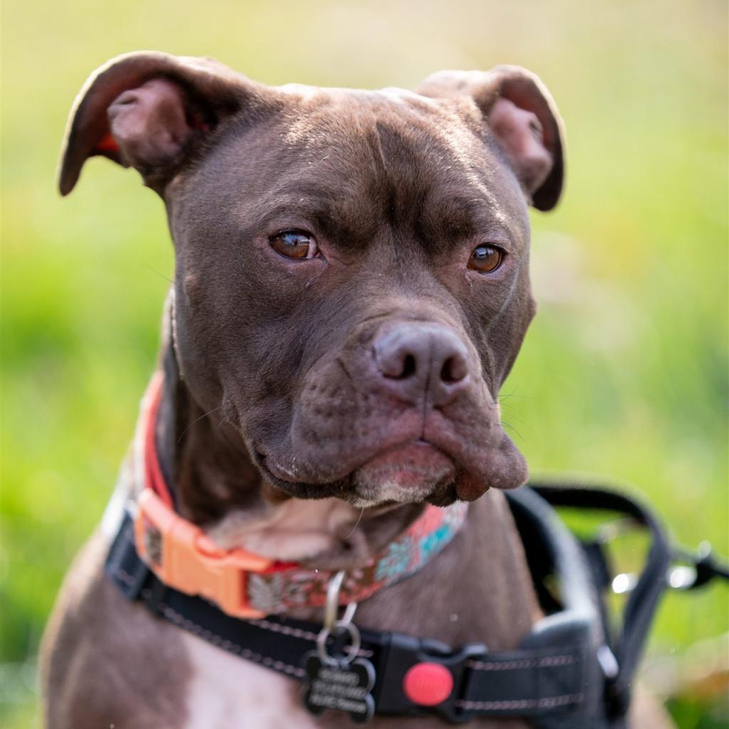 Randy — thumbnail 4