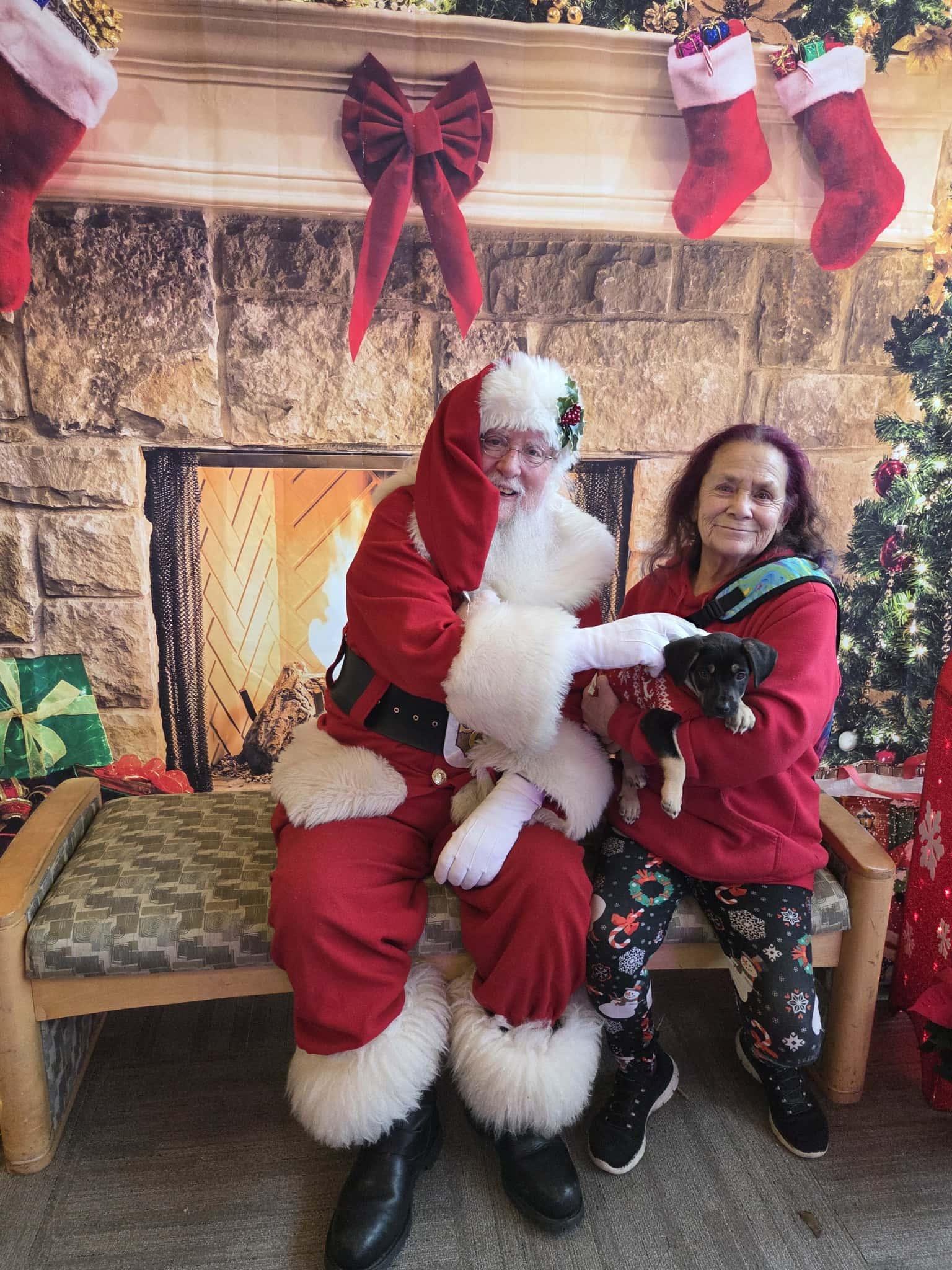 Enlarge Lottie The sweet Pea, a Adoptable mixed breed in Lacey, WA image 2/6