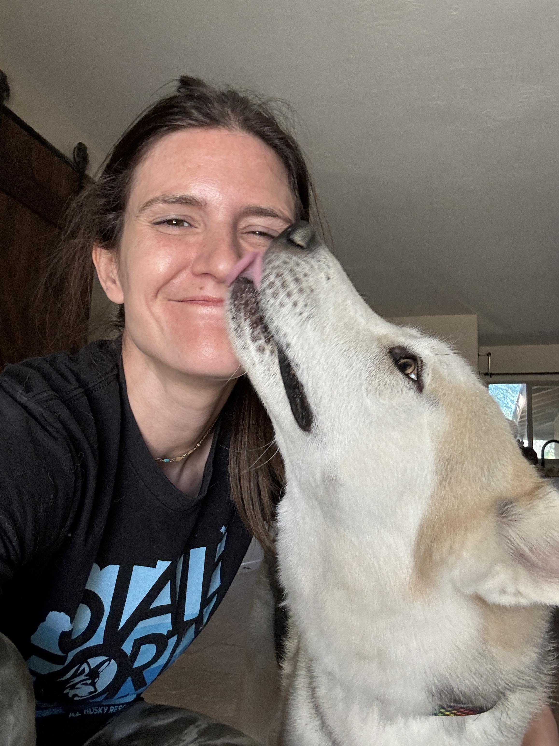 Enlarge Waldo, a Adopted mixed breed in Scottsdale, AZ image 6/6