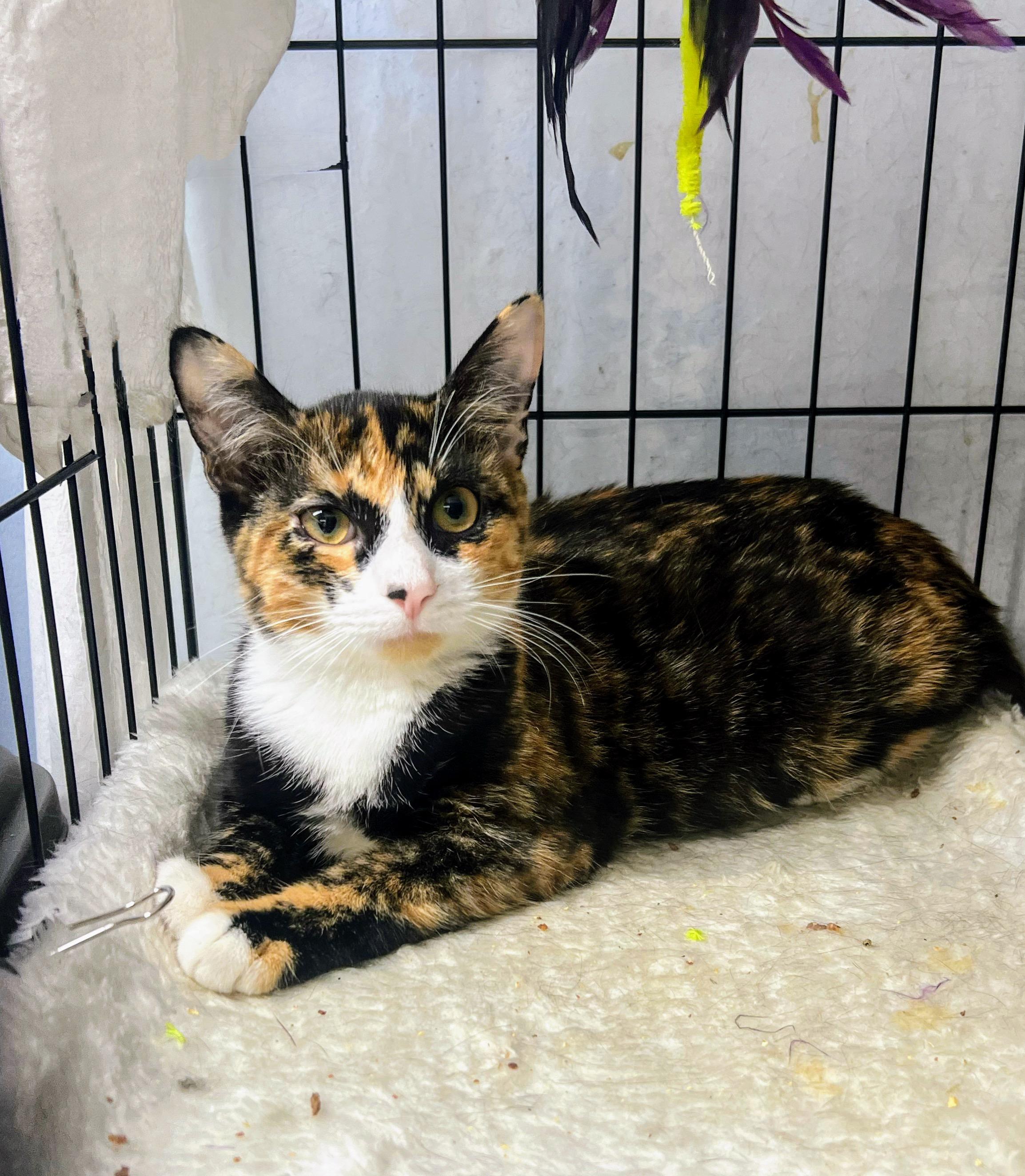 Valentina thumbnail 4