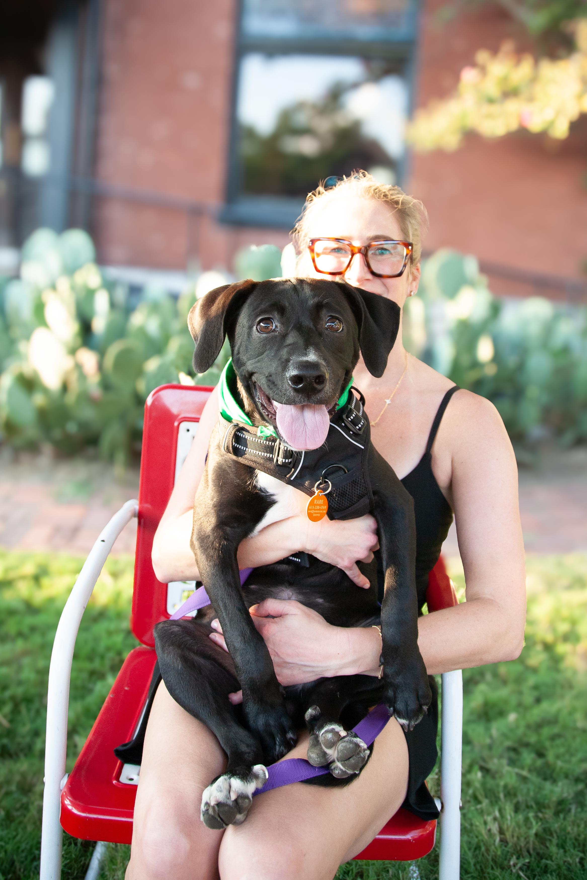 Enlarge Carl, a Adoptable mixed breed in Nashville, TN image 2/5
