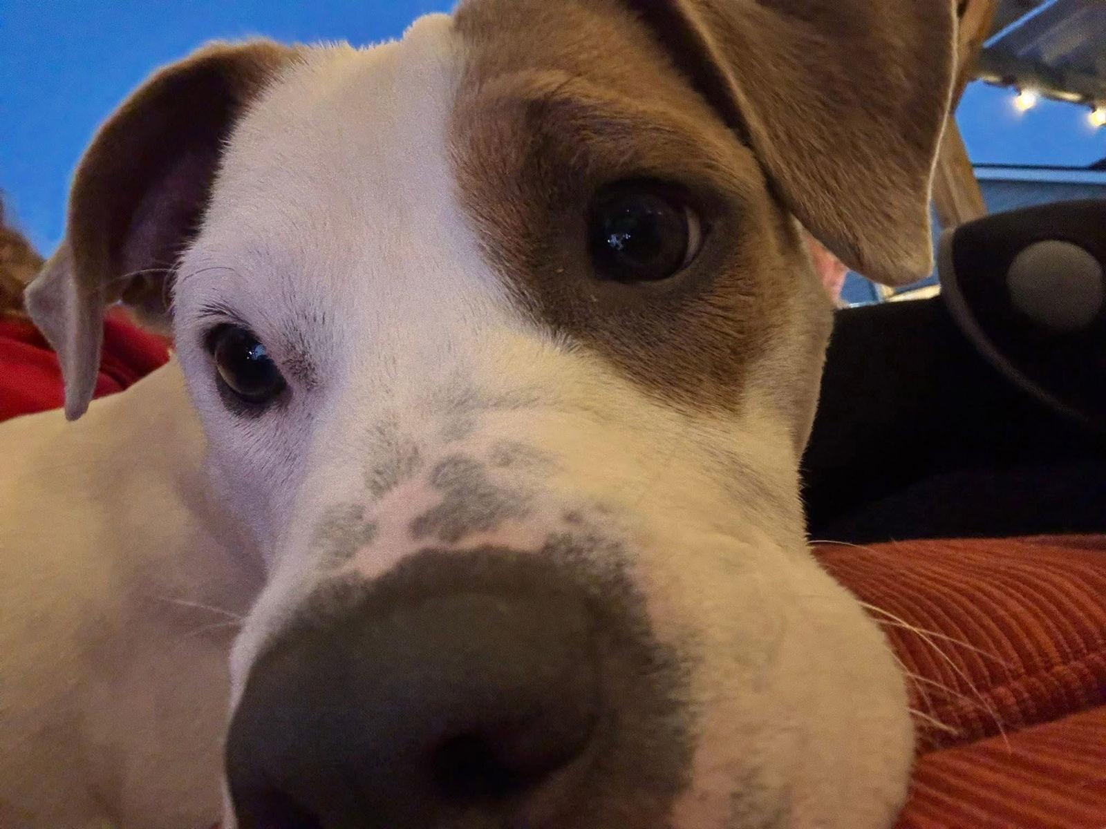 Juno Skye thumbnail 2