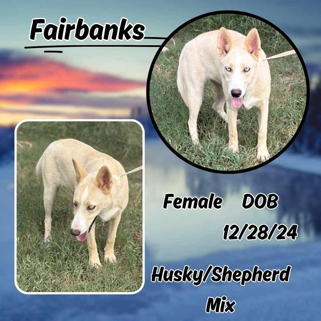 Fairbanks