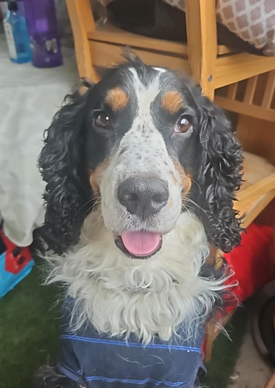Eugene