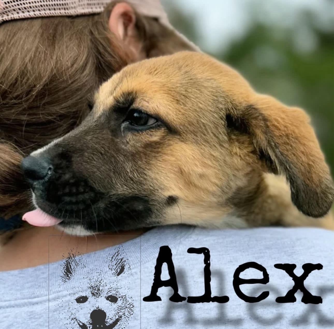 Alex