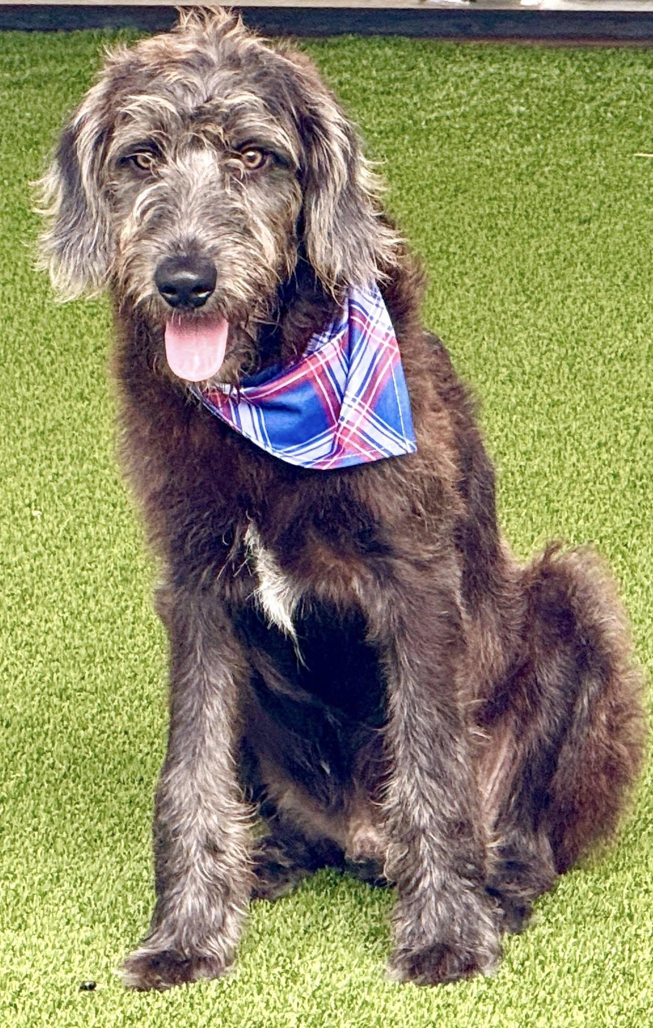 Finleya Big Mushy Love!