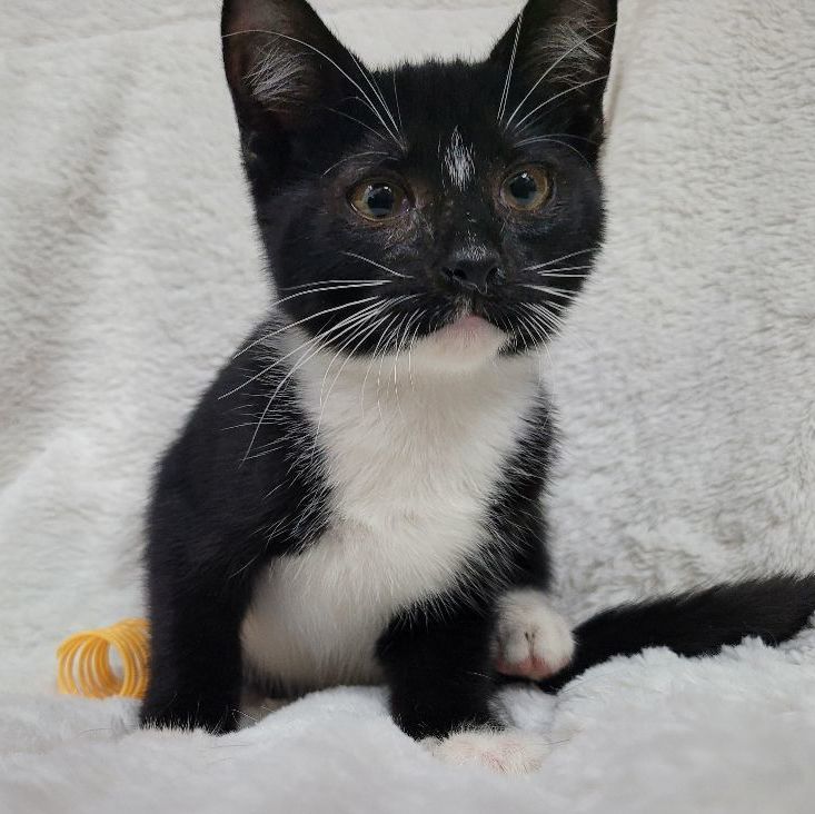 Larry — thumbnail 5