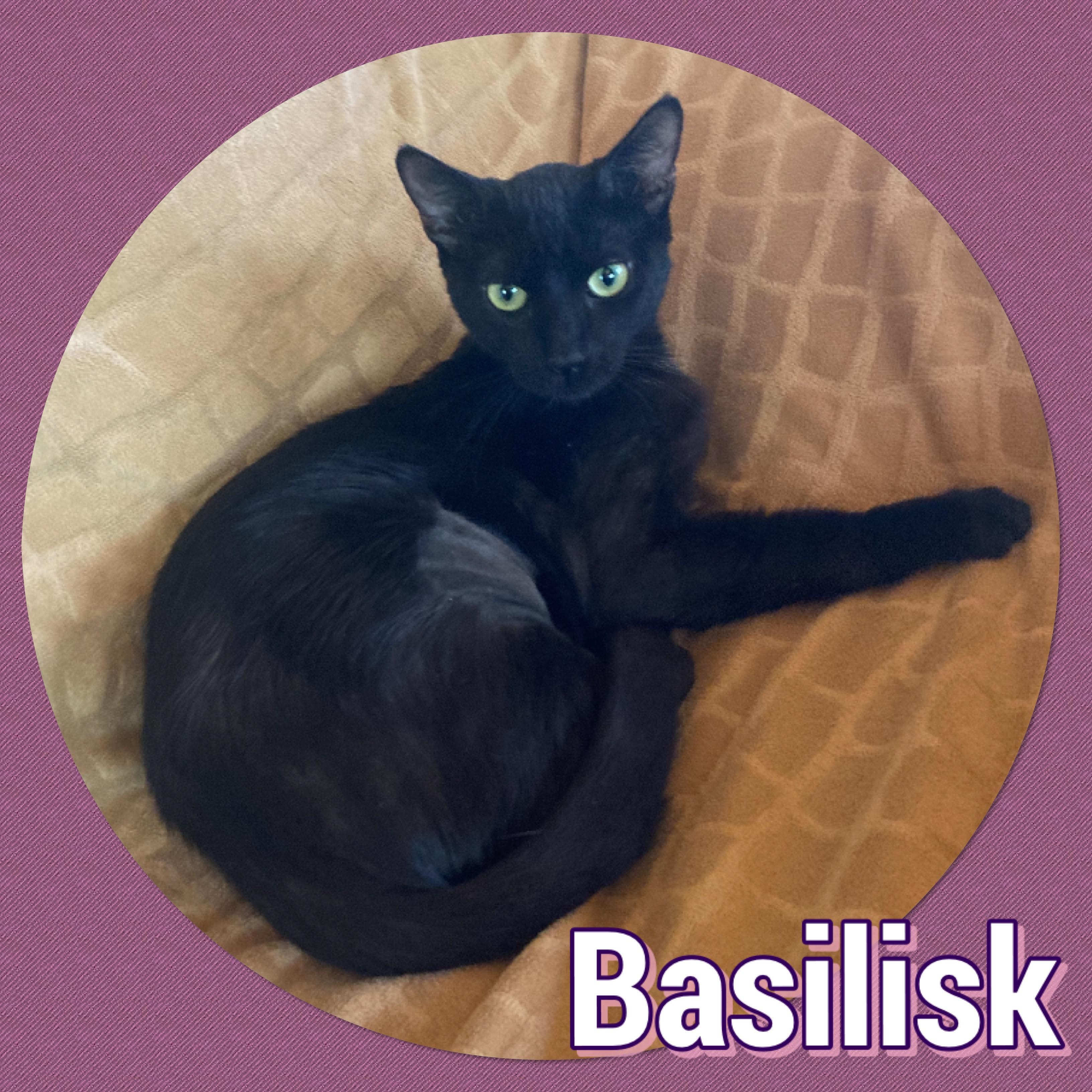 Basilisk