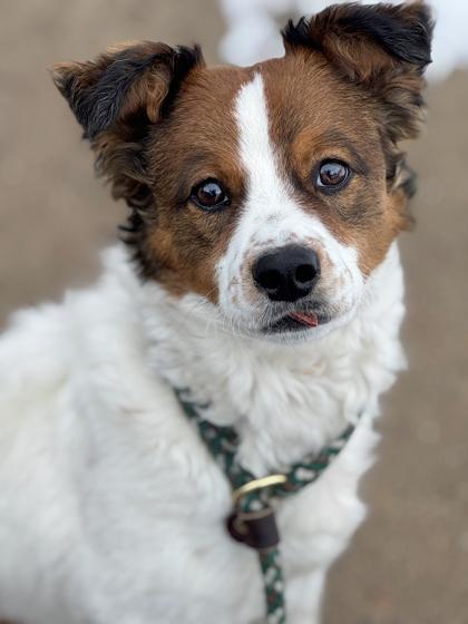 Gambit — thumbnail 2