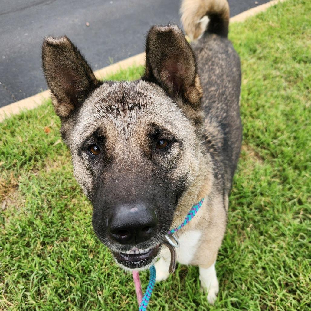 Pearlena thumbnail 2