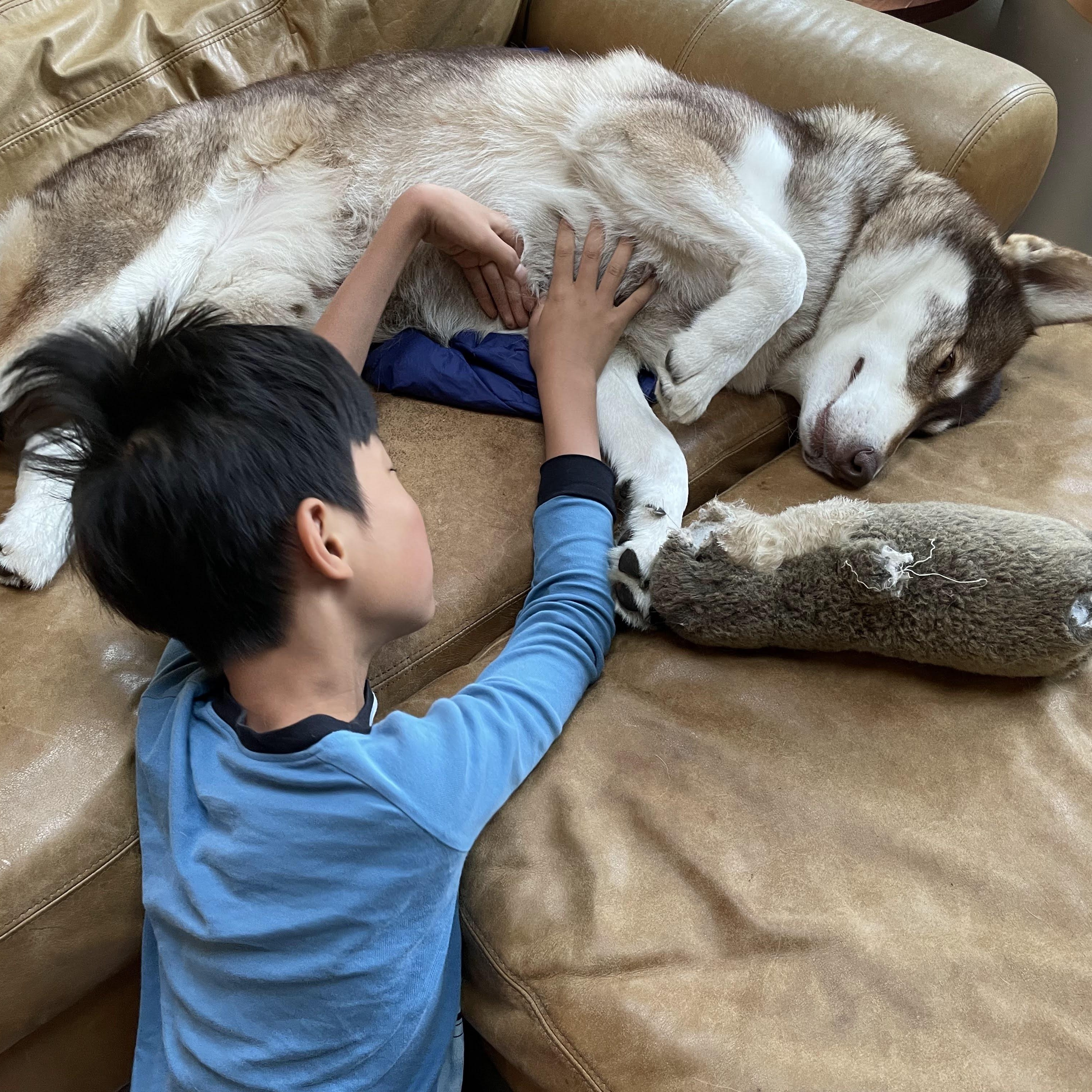 Winchester - Model Husky and Adventure Buddy!