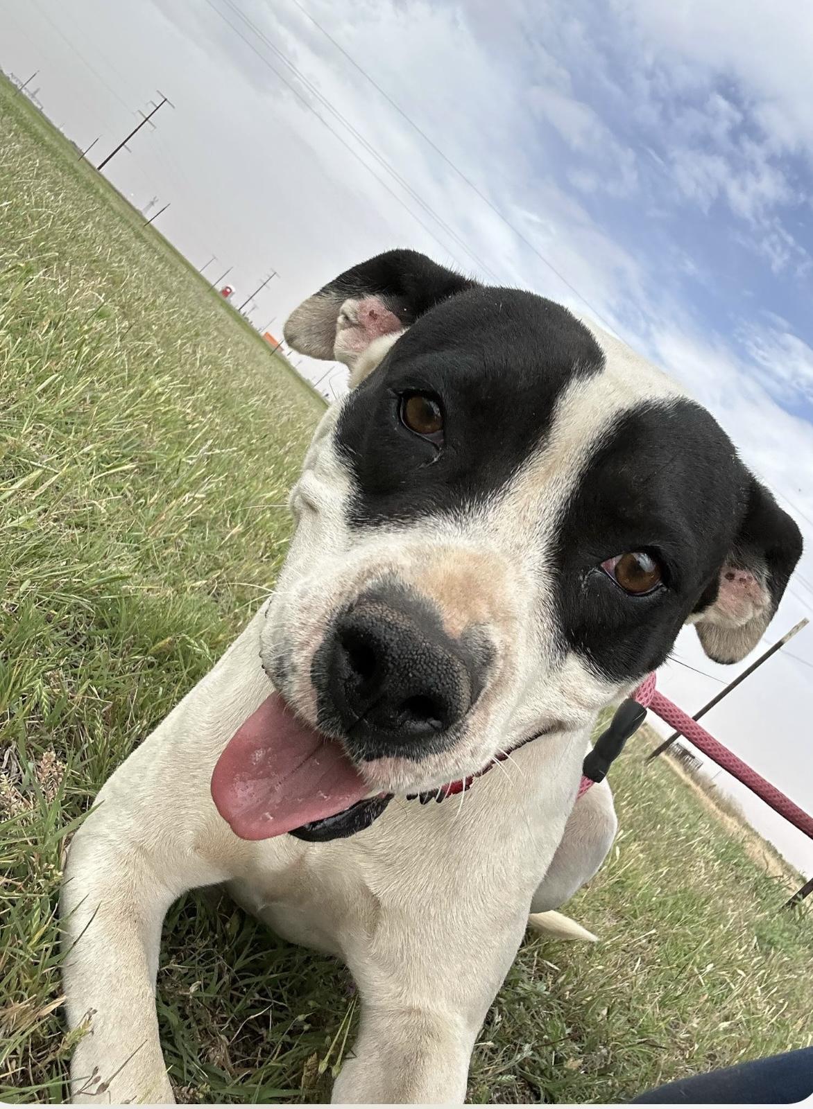 Easter — thumbnail 2