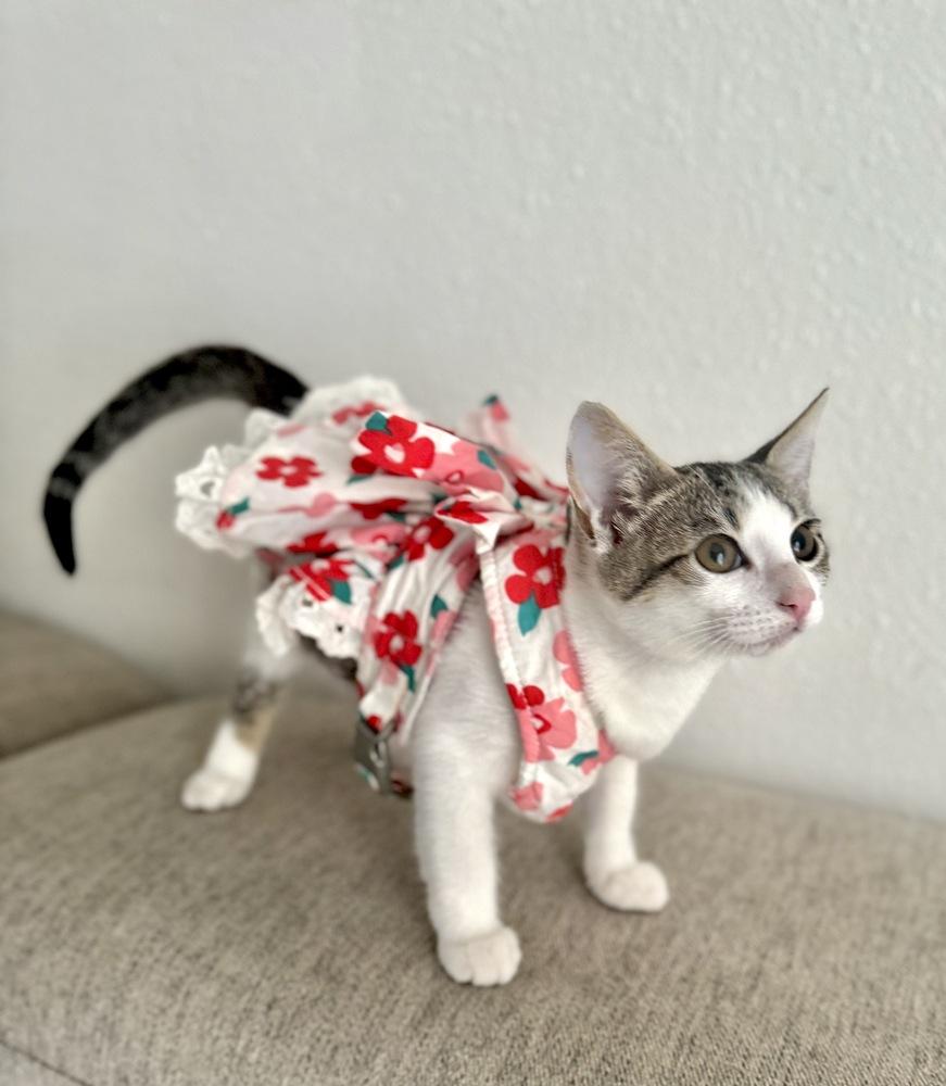 Boo Solis — thumbnail 2