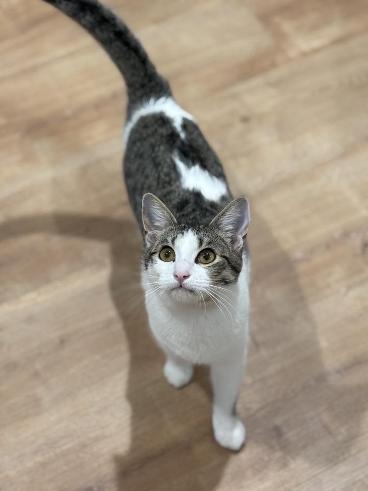 Boo Solis — thumbnail 3