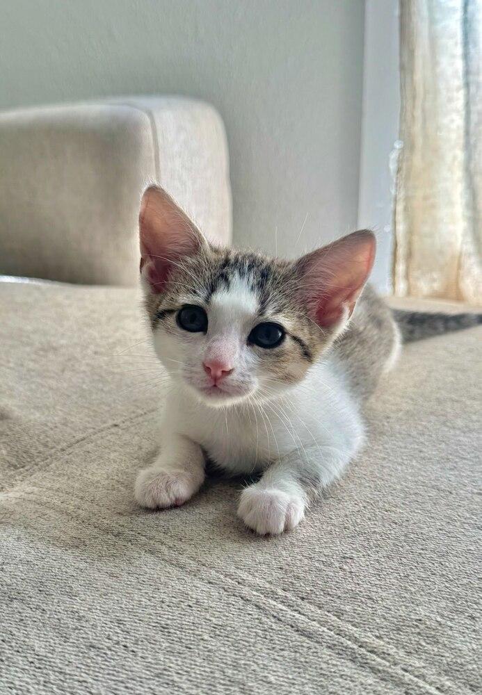 Boo Solis — thumbnail 4