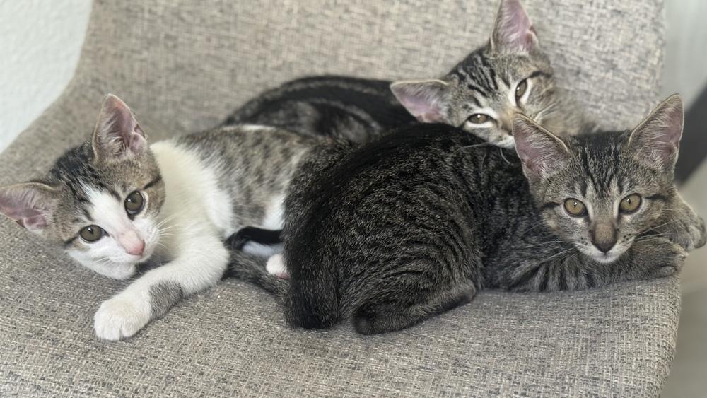 Boo Solis — thumbnail 5